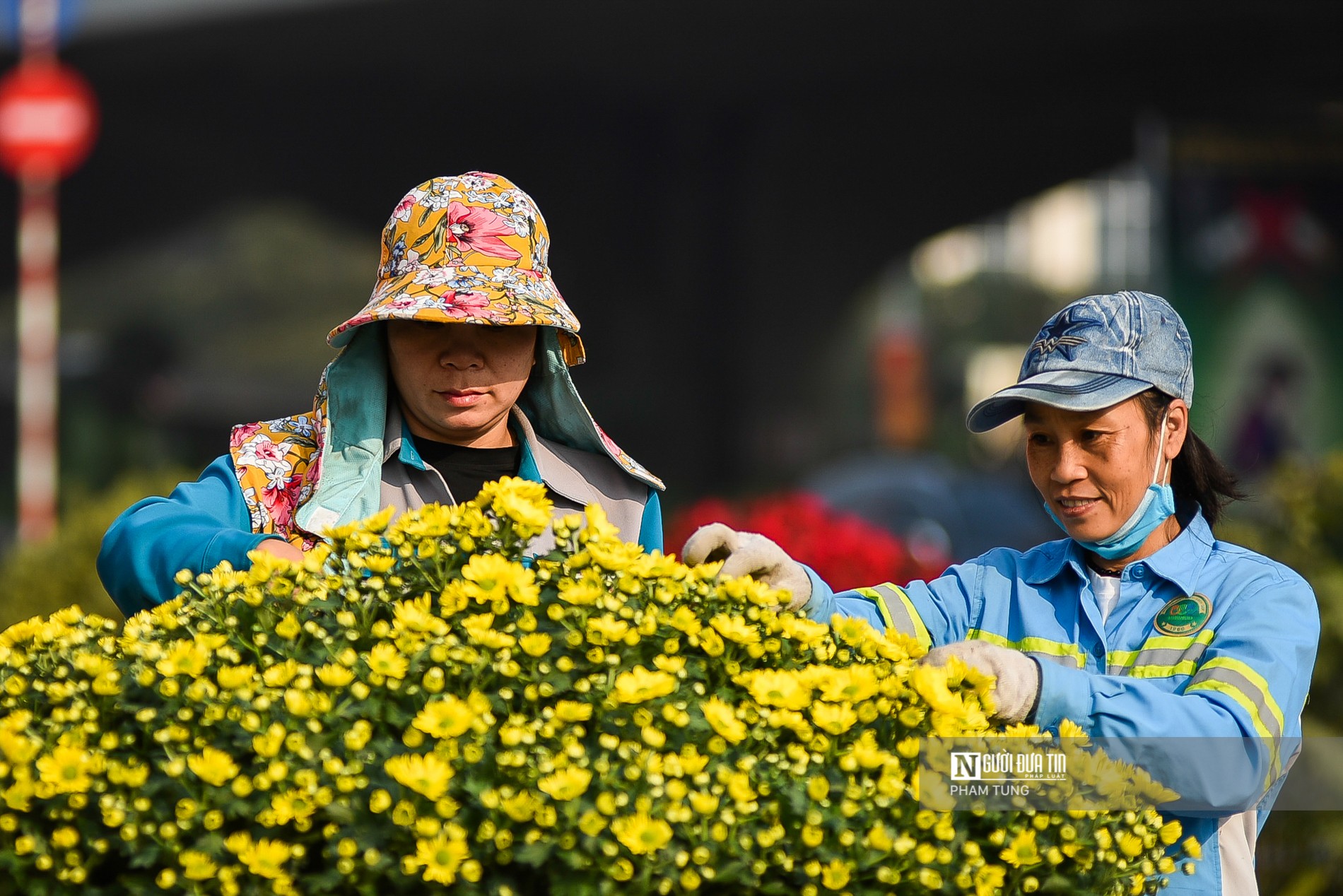 Tin nhanh - Trang hoàng trung tâm Hội nghị Quốc gia phục vụ Đại hội Đảng (Hình 12).