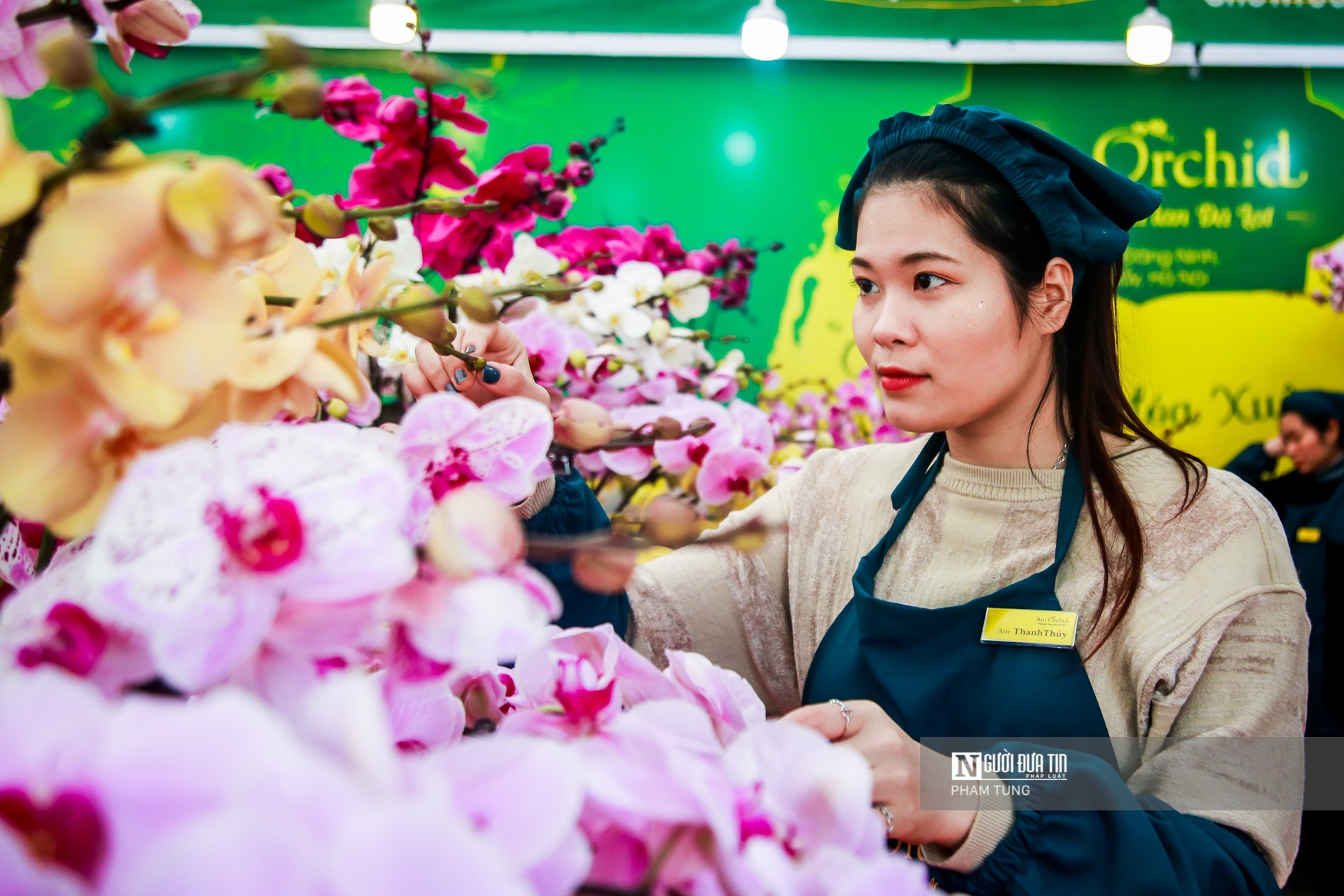 Tiêu dùng & Dư luận - “Nữ hoàng loài lan” vượt 1000km ra Hà Nội phục vụ năm mới (Hình 5).