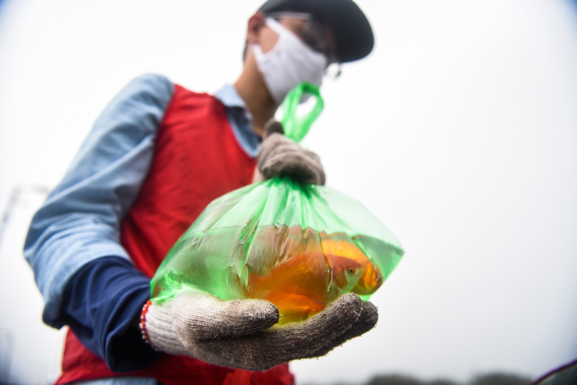 Tin nhanh - Người dân bịt kín khẩu trang đi thả cá chép ngày ông Công ông Táo (Hình 4).