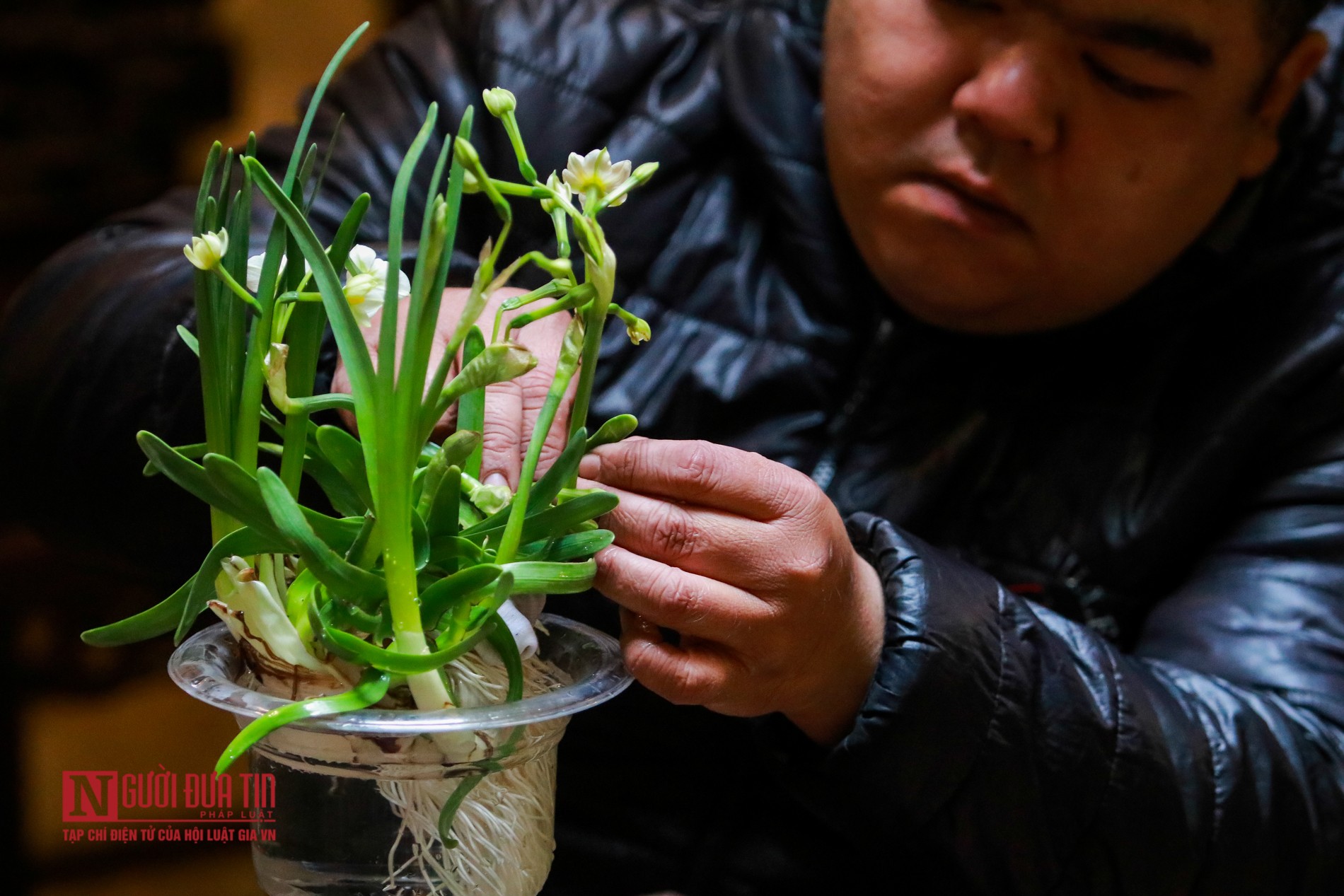 Tiêu dùng & Dư luận - Thú chơi 'đĩa ngọc, chén vàng” dịp Tết người Hà Nội (Hình 6).