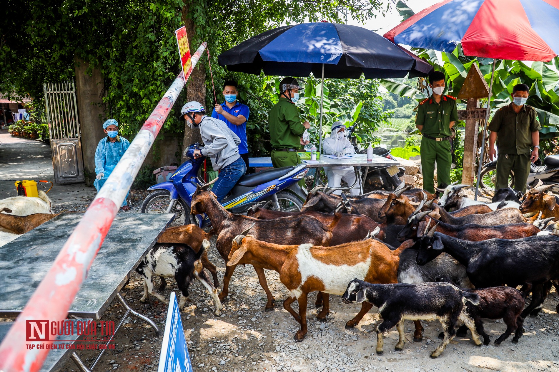 Dân sinh - Hà Nội: Cách ly thêm một khu dân cư liên quan đến BN tại Đông Anh (Hình 6).