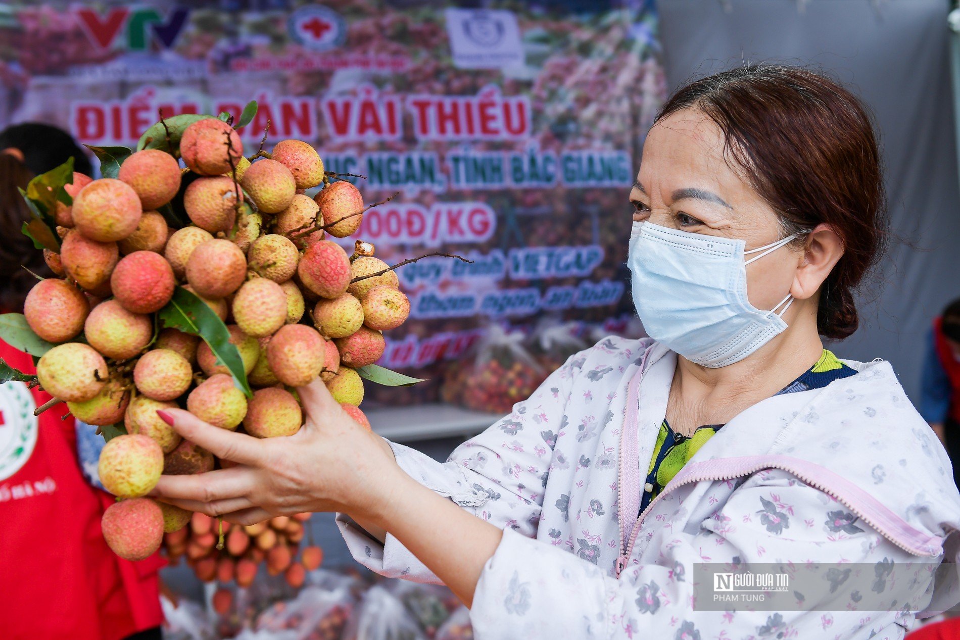 Tiêu dùng & Dư luận - Người dân Hà Nội tiếp tục hỗ trợ tiêu thụ vải thiều Lục Ngạn (Hình 7).