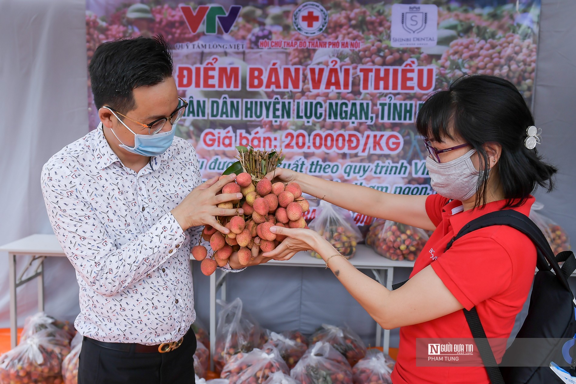 Tiêu dùng & Dư luận - Bác sĩ “vải thiều” gom hàng trăm tấn vải hỗ trợ người dân Bắc Giang (Hình 5).