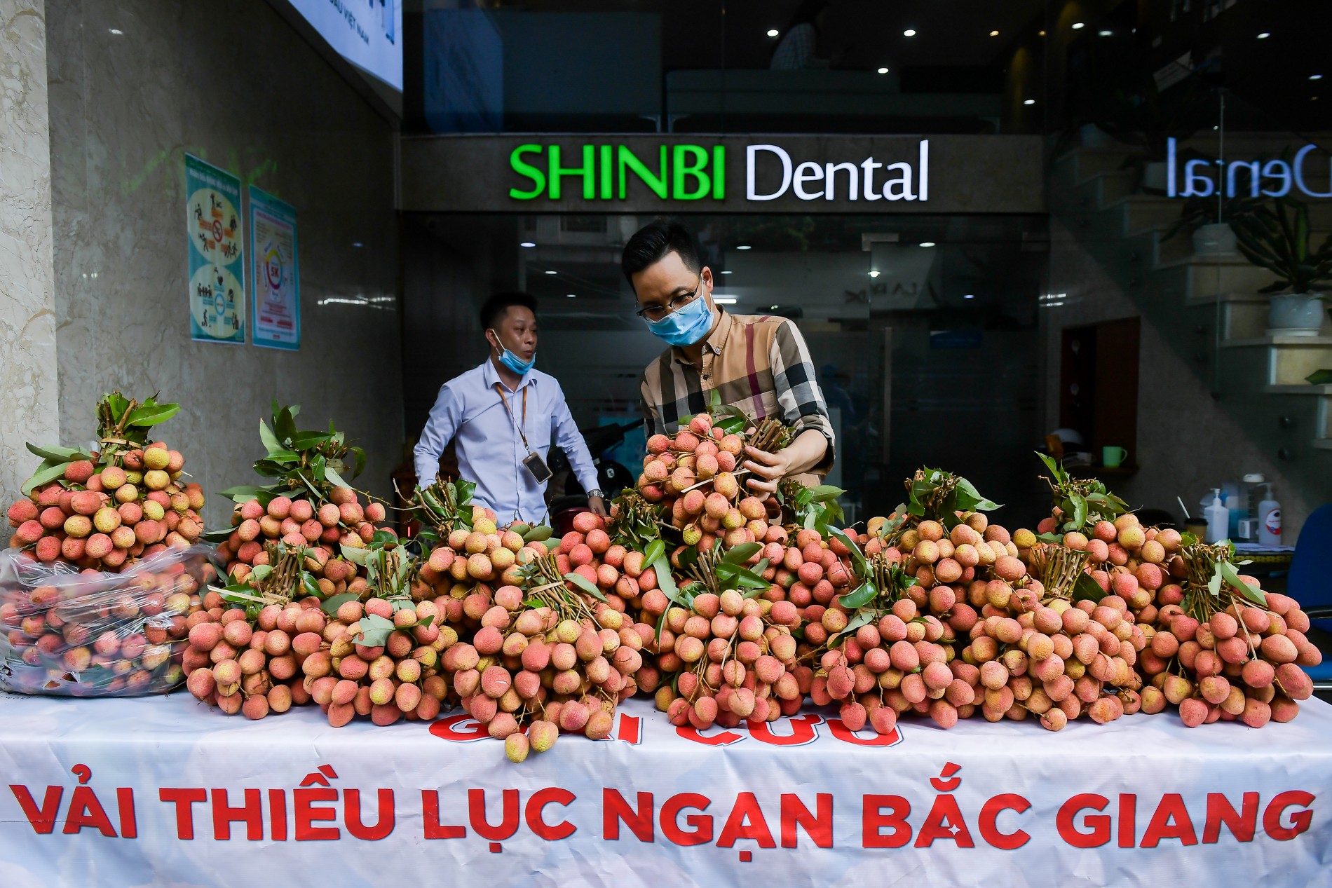 Tiêu dùng & Dư luận - Bác sĩ “vải thiều” gom hàng trăm tấn vải hỗ trợ người dân Bắc Giang