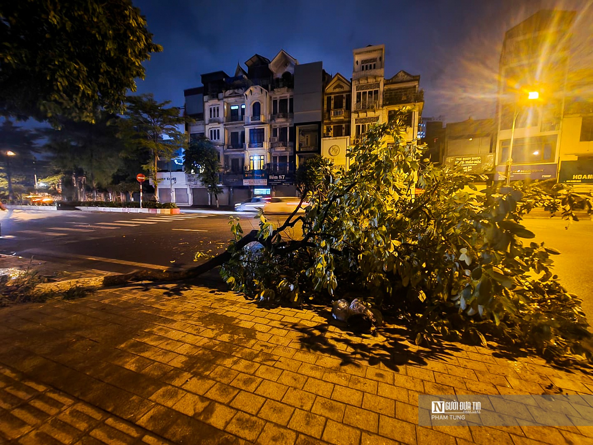 Dân sinh - Hà Nội: Cây đổ la liệt sau mưa lớn (Hình 10).