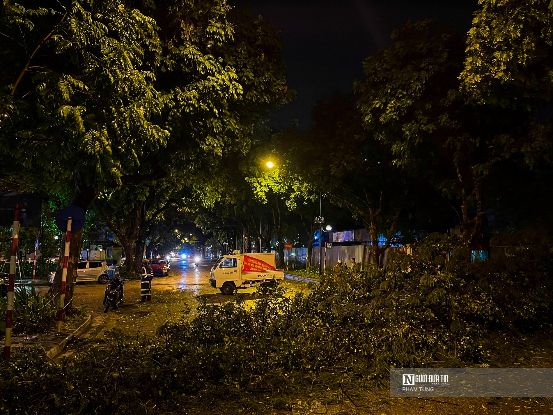 Dân sinh - Hà Nội: Cây đổ la liệt sau mưa lớn