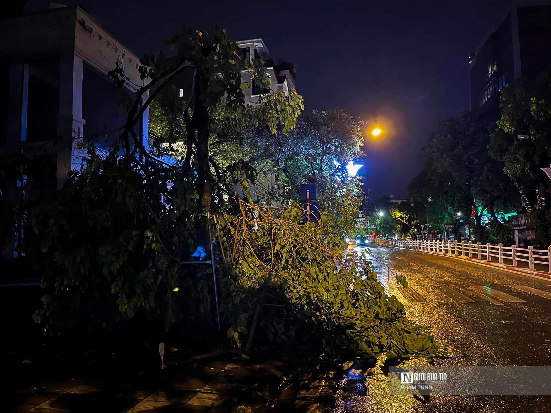 Dân sinh - Hà Nội: Cây đổ la liệt sau mưa lớn (Hình 8).