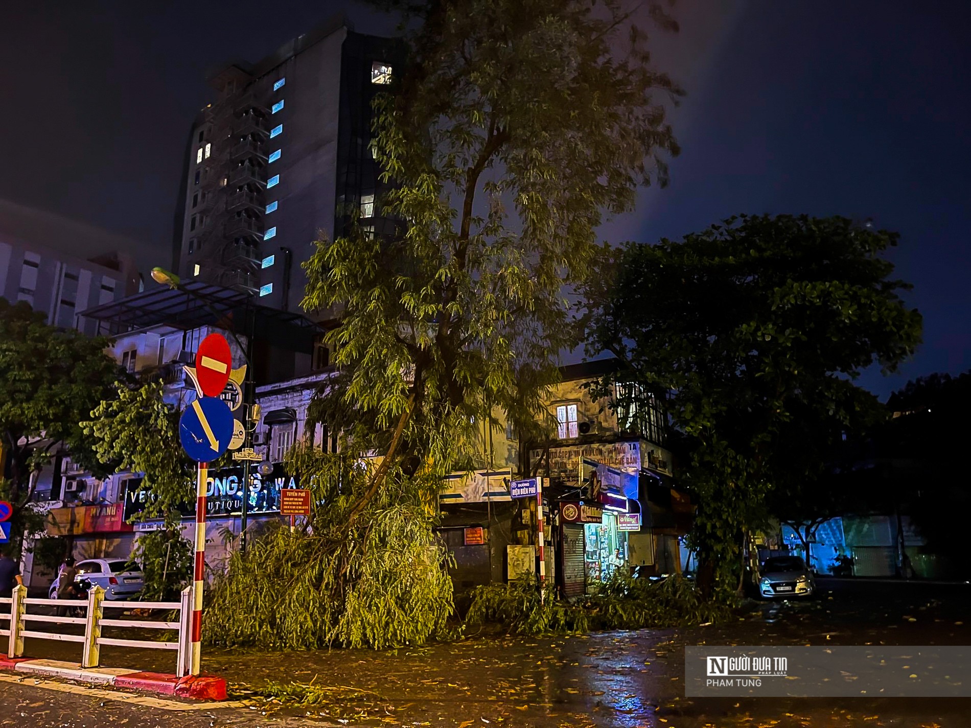 Dân sinh - Hà Nội: Cây đổ la liệt sau mưa lớn (Hình 7).