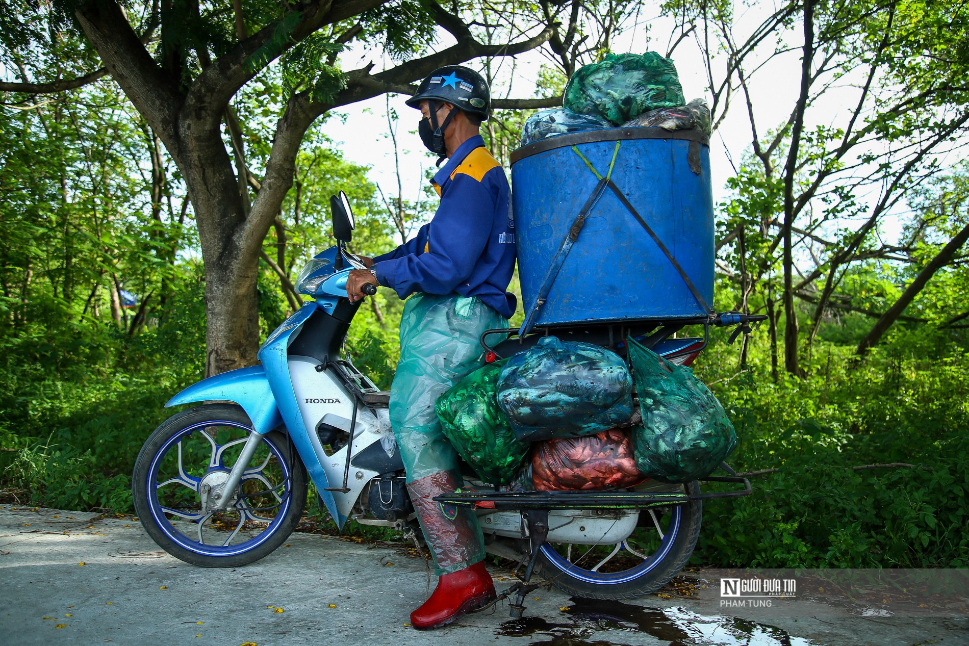 Dân sinh - Chùm ảnh: Cá chết nổi trắng mặt hồ Yên Sở (Hình 10).