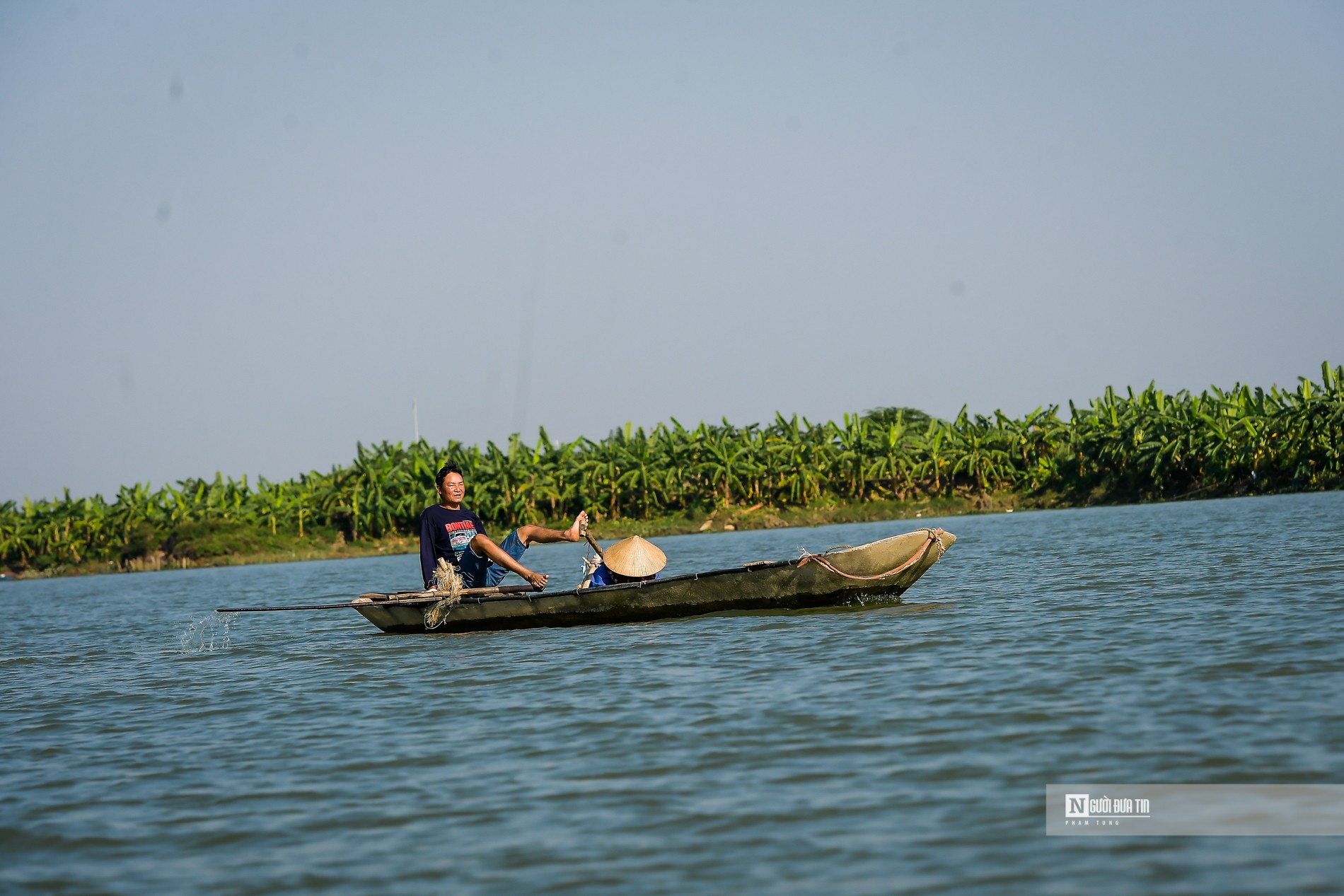 Dân sinh - Ngư dân bắt cà ra bỏ túi hàng triệu mỗi ngày (Hình 4).