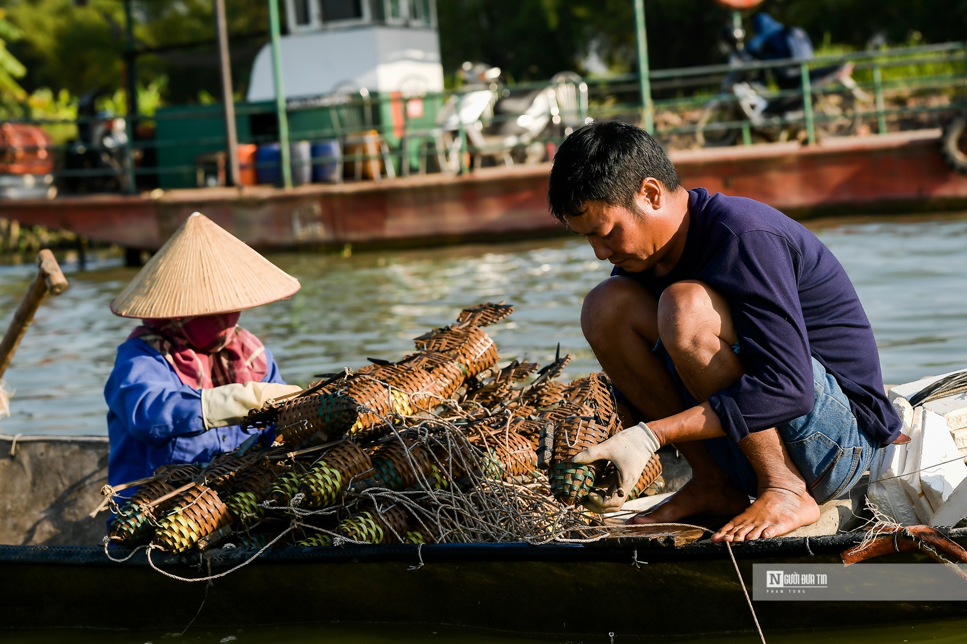 Dân sinh - Ngư dân bắt cà ra bỏ túi hàng triệu mỗi ngày (Hình 13).