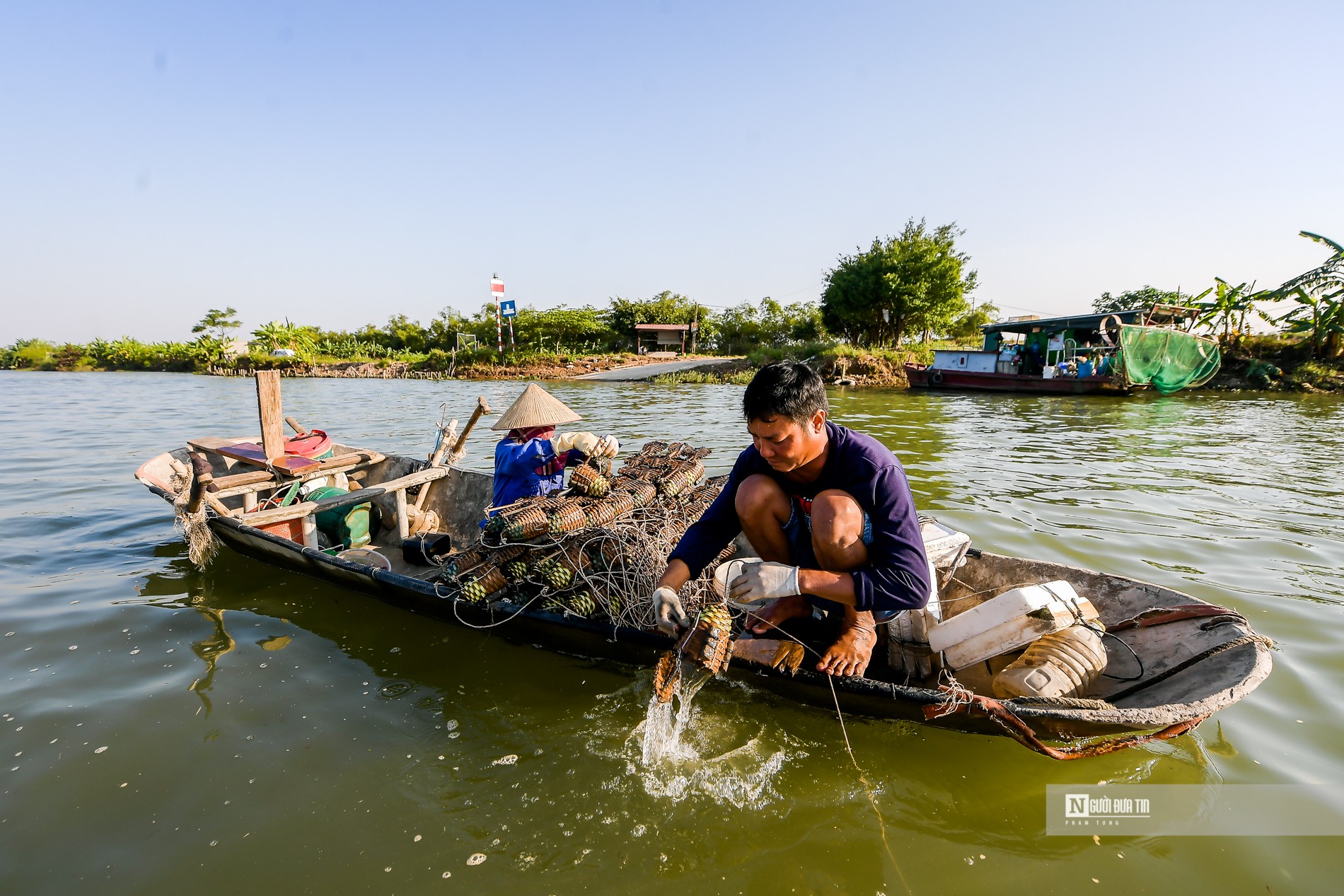 Dân sinh - Ngư dân bắt cà ra bỏ túi hàng triệu mỗi ngày (Hình 12).