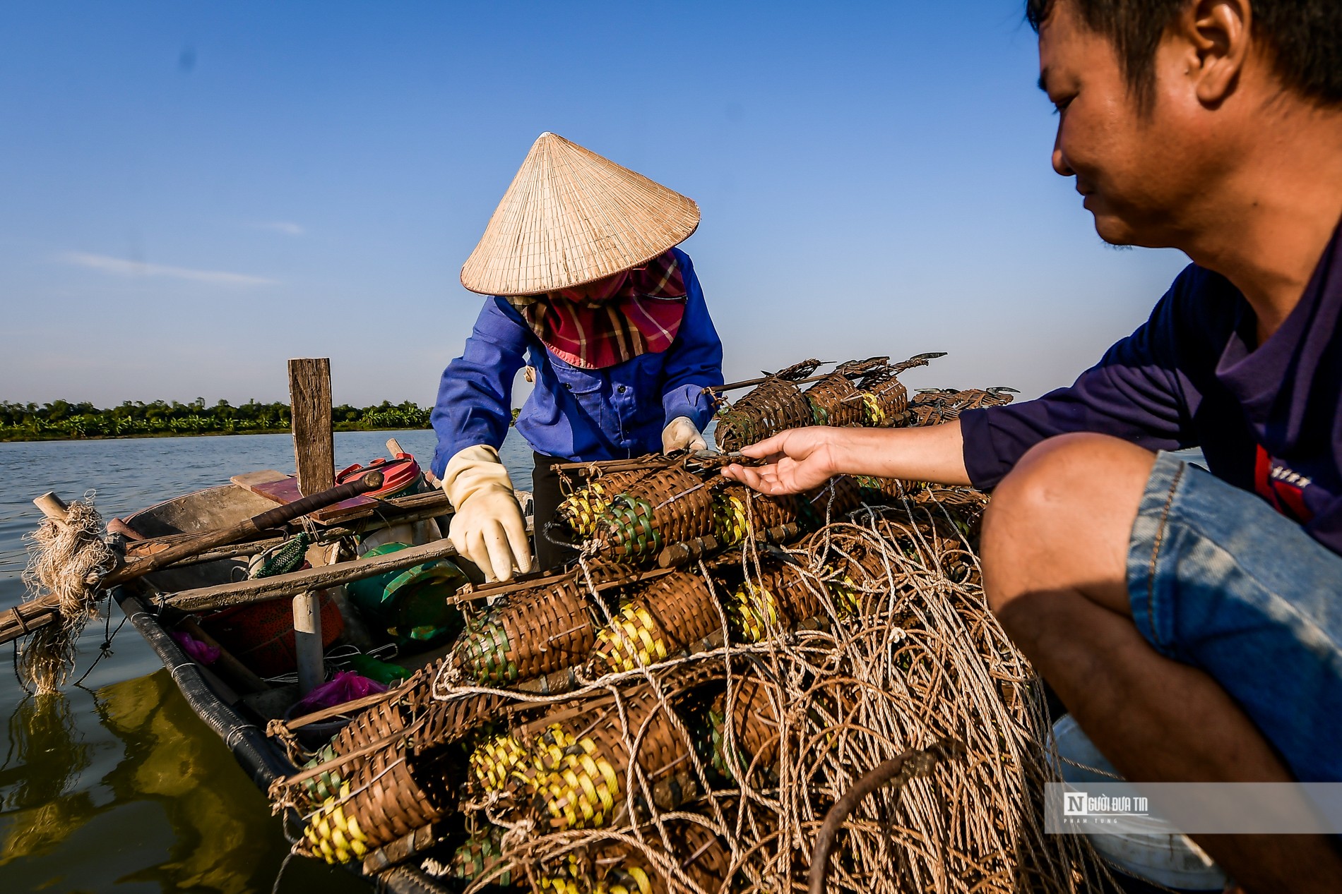 Dân sinh - Ngư dân bắt cà ra bỏ túi hàng triệu mỗi ngày (Hình 14).