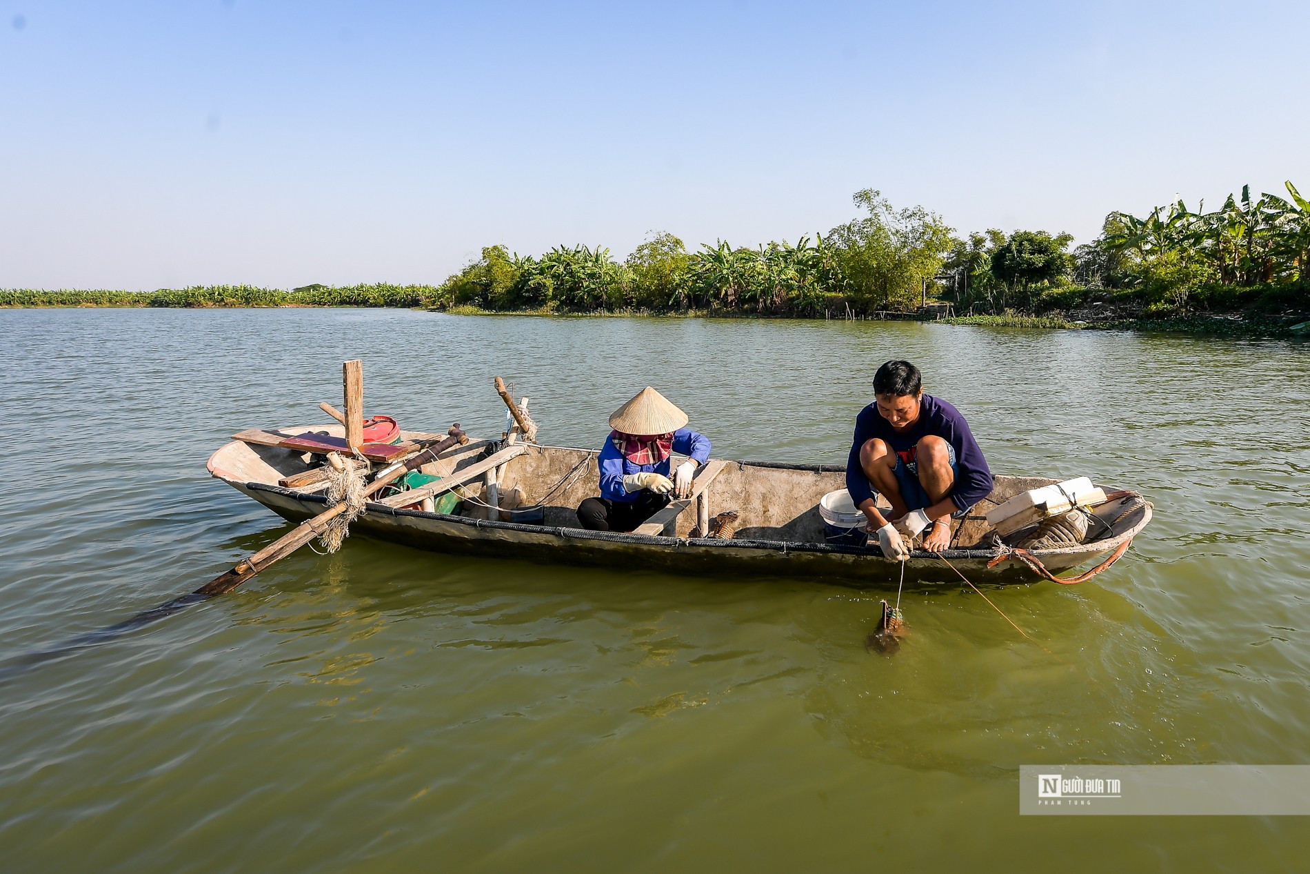 Dân sinh - Ngư dân bắt cà ra bỏ túi hàng triệu mỗi ngày (Hình 6).