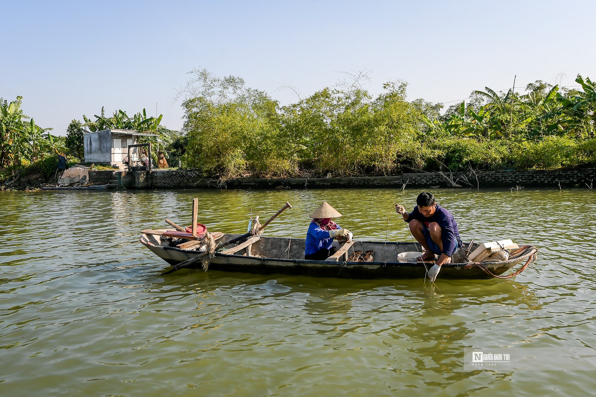 Dân sinh - Ngư dân bắt cà ra bỏ túi hàng triệu mỗi ngày (Hình 17).