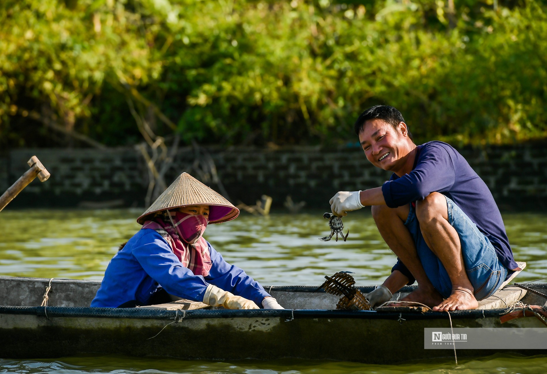 Dân sinh - Ngư dân bắt cà ra bỏ túi hàng triệu mỗi ngày (Hình 5).