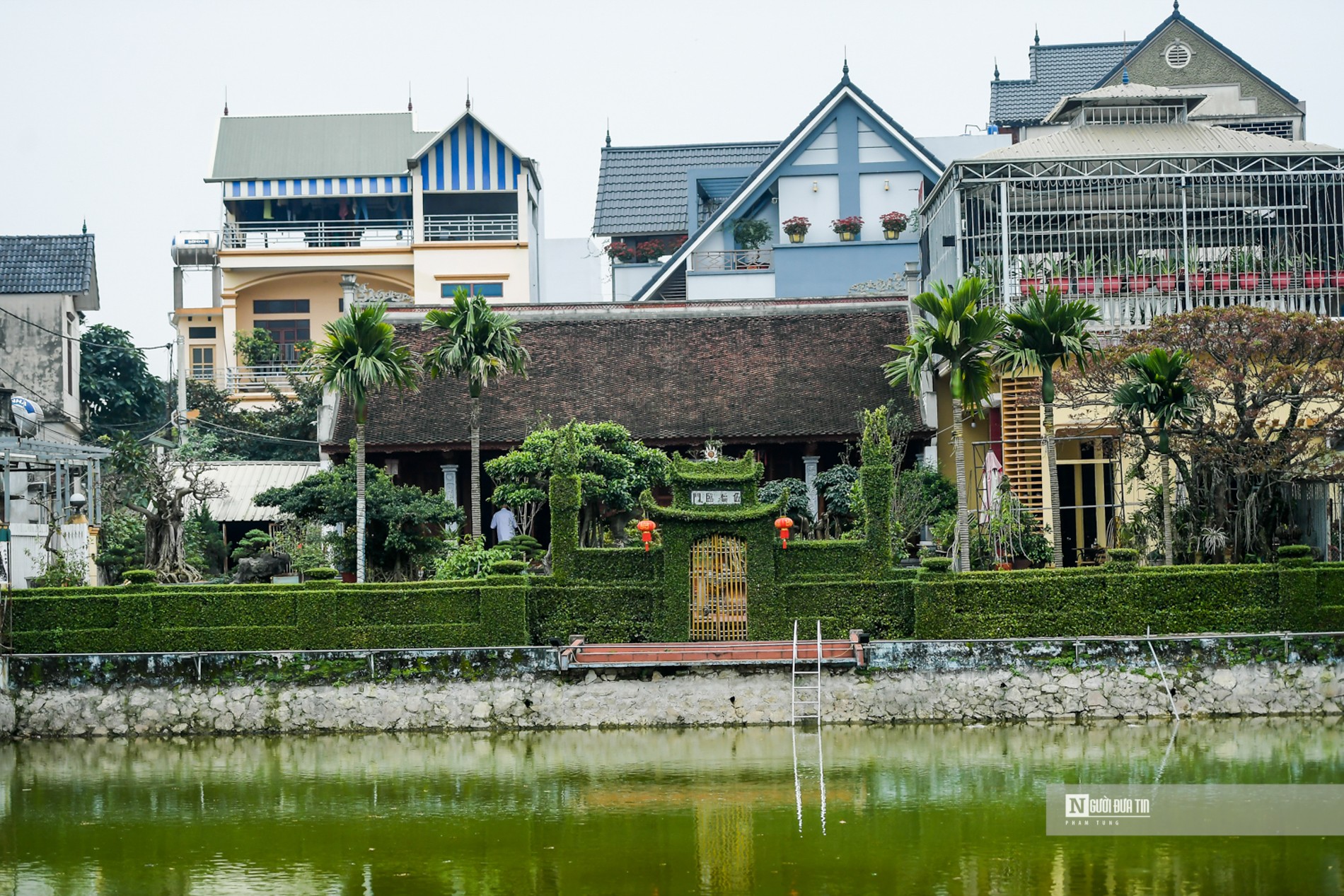 Văn hoá - Hà Nội: Ngắm cổng rào “độc nhất vô nhị” bằng cây ô rô 30 năm tuổi (Hình 12).