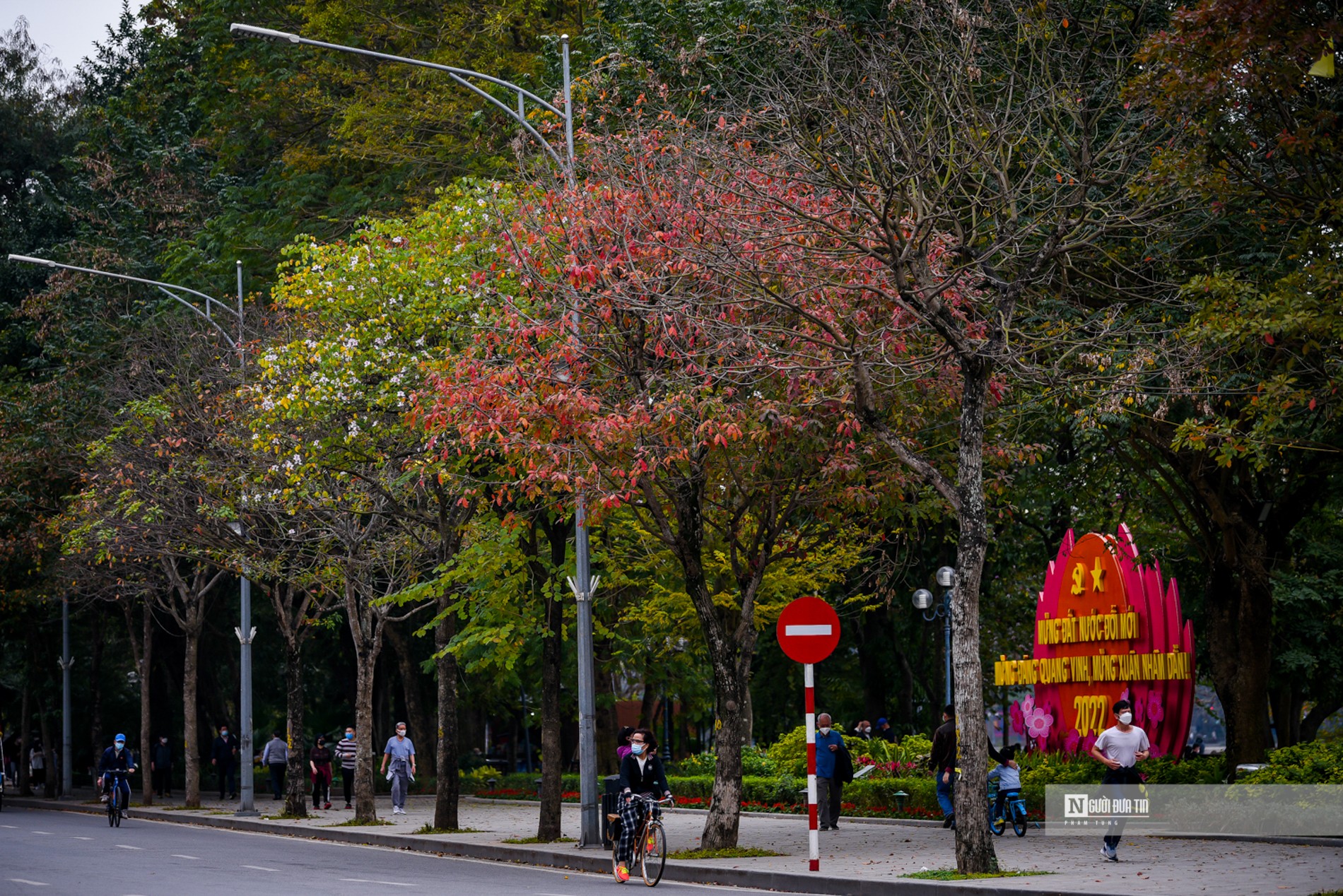 Dân sinh - Hà Nội lãng mạn mùa thay lá