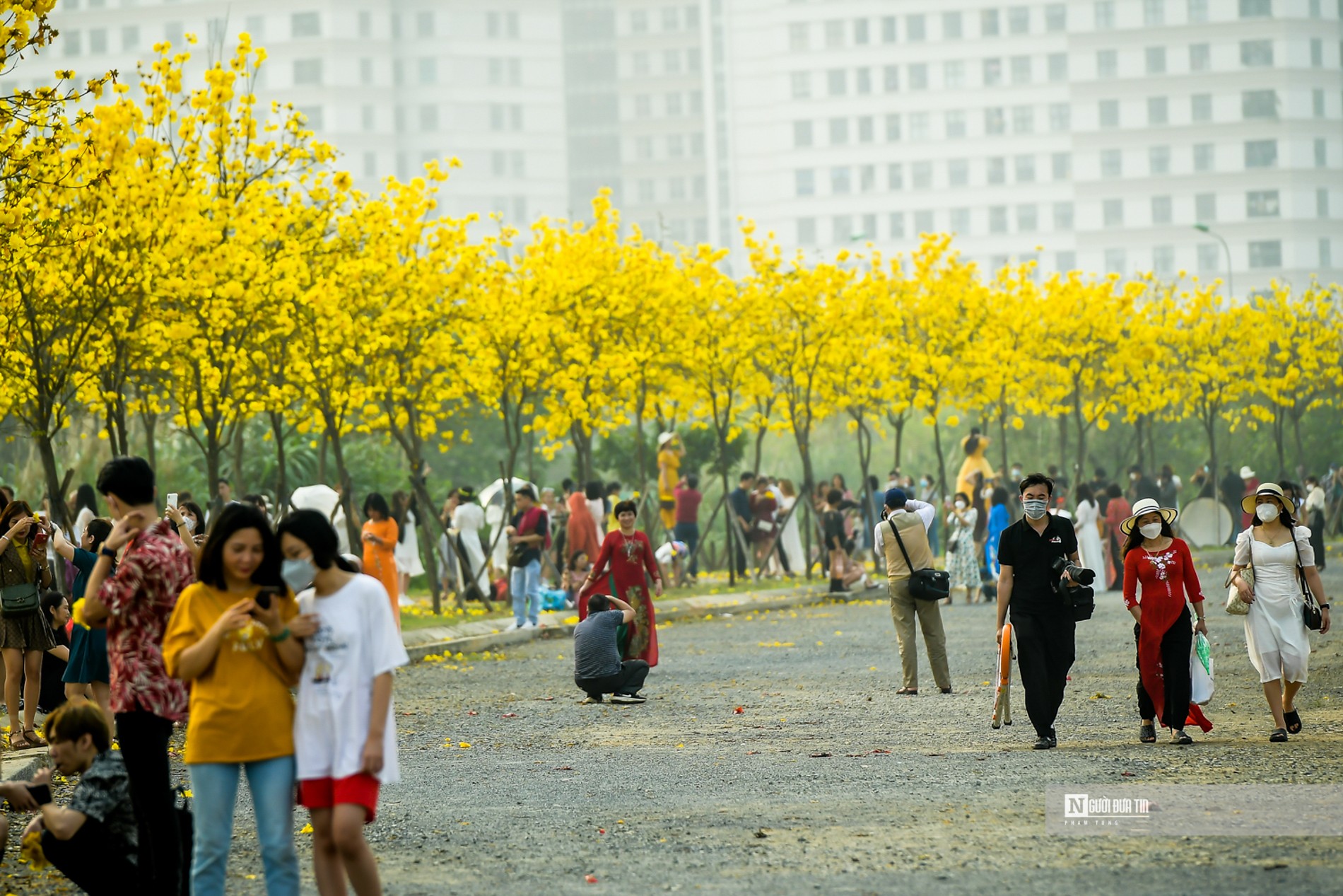 Dân sinh - “Biển người' đổ về đường hoa phong linh giữa lòng Thủ đô (Hình 7).