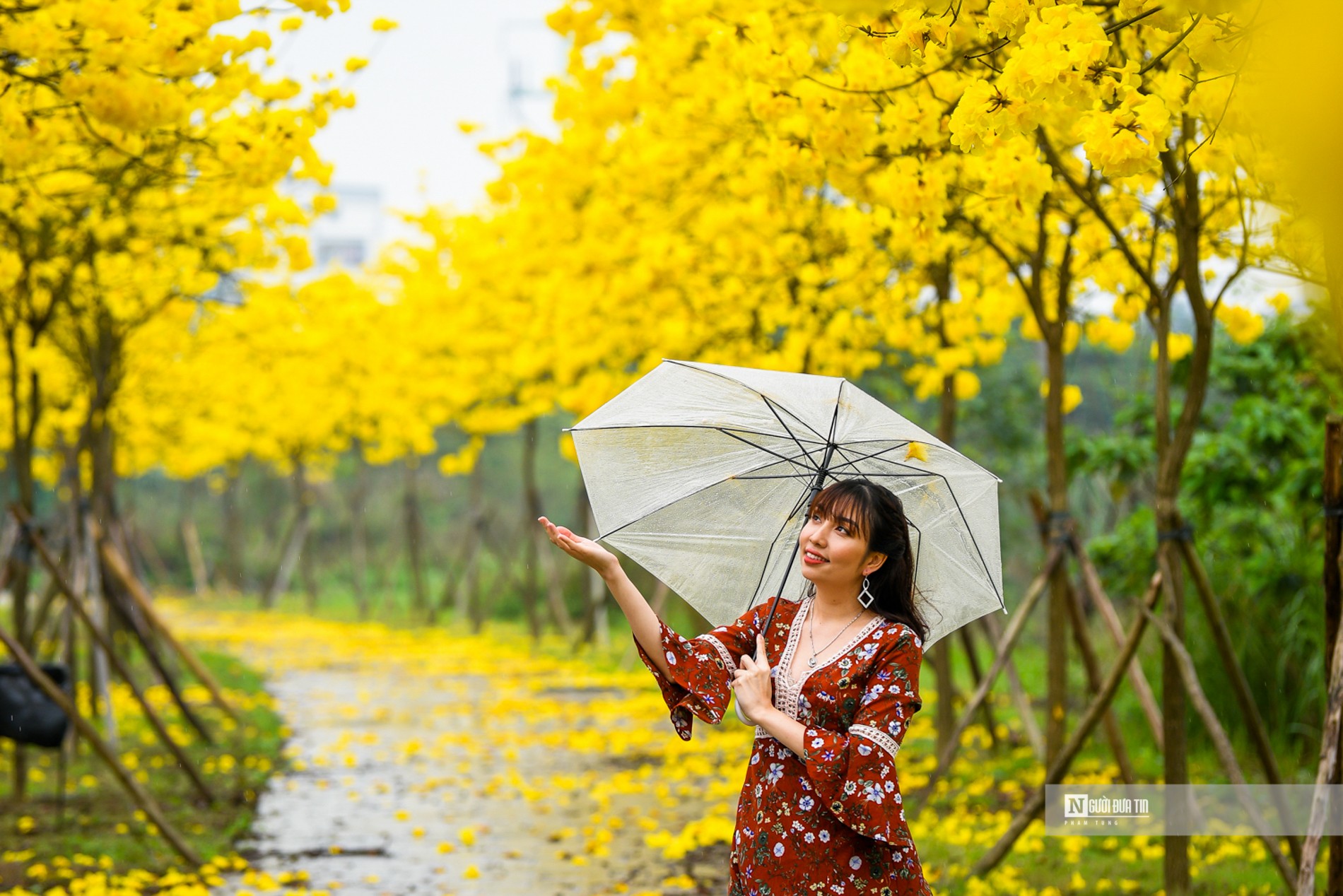 Dân sinh - “Biển người' đổ về đường hoa phong linh giữa lòng Thủ đô (Hình 9).