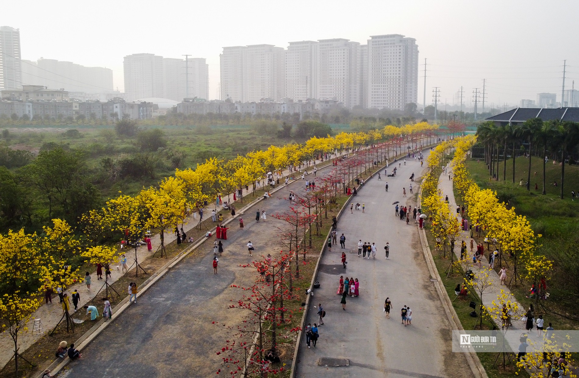 Dân sinh - “Biển người' đổ về đường hoa phong linh giữa lòng Thủ đô