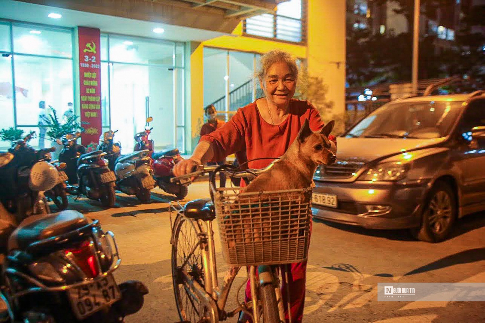 Dân sinh - Hà Nội: Thả chó ra đường, chủ nhân ngậm ngùi nộp phạt 1,5 triệu đồng (Hình 8).