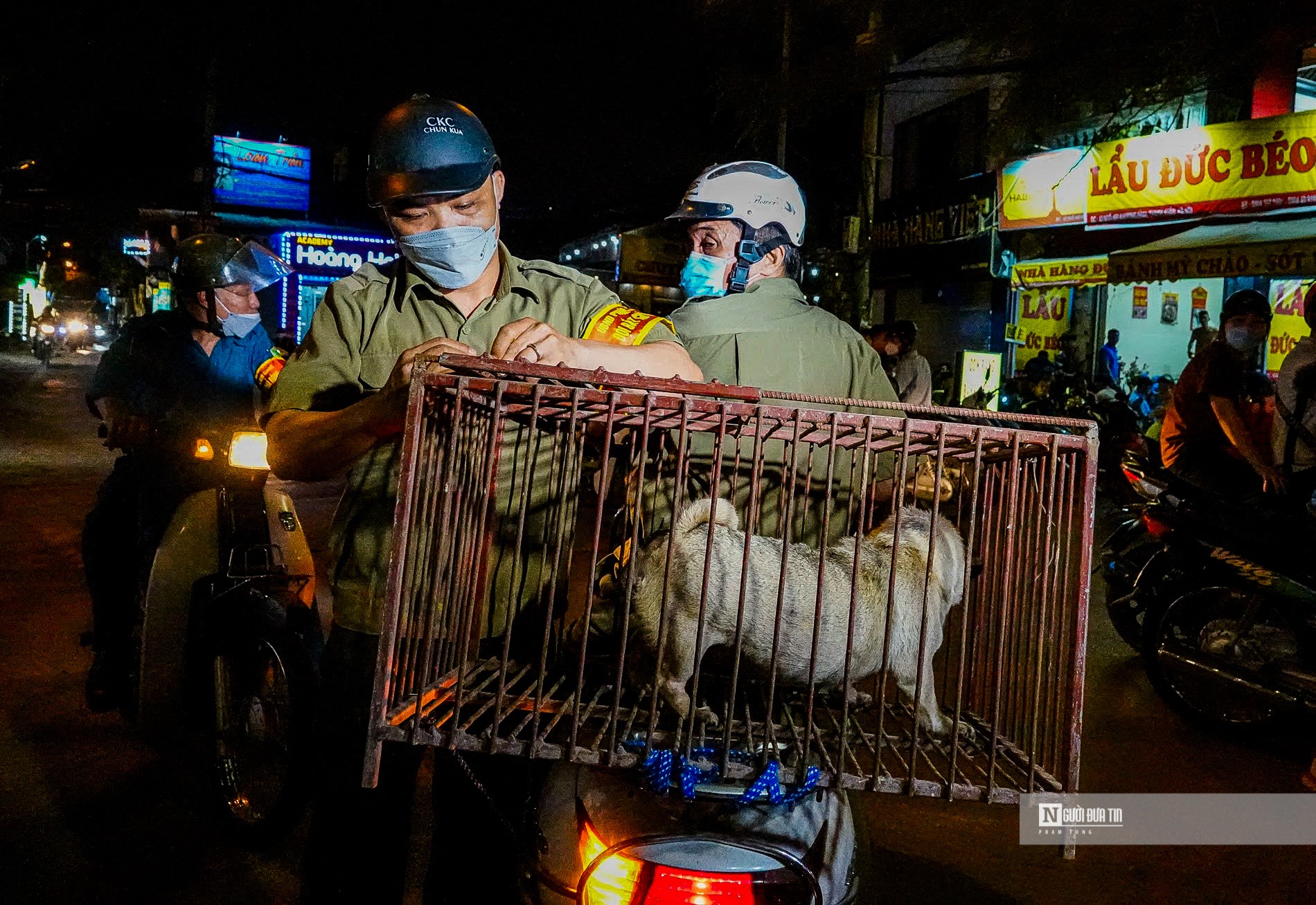 Dân sinh - Hà Nội: Thả chó ra đường, chủ nhân ngậm ngùi nộp phạt 1,5 triệu đồng (Hình 2).