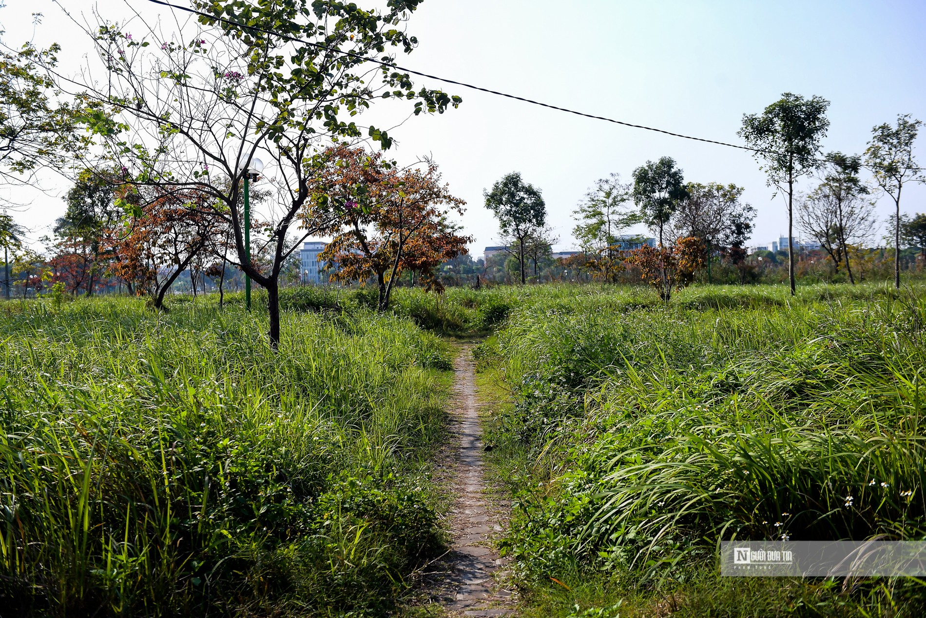 Dân sinh - Hà Nội:  Bên trong công viên 70 tỷ bỏ hoang, xuống cấp nghiêm trọng (Hình 7).