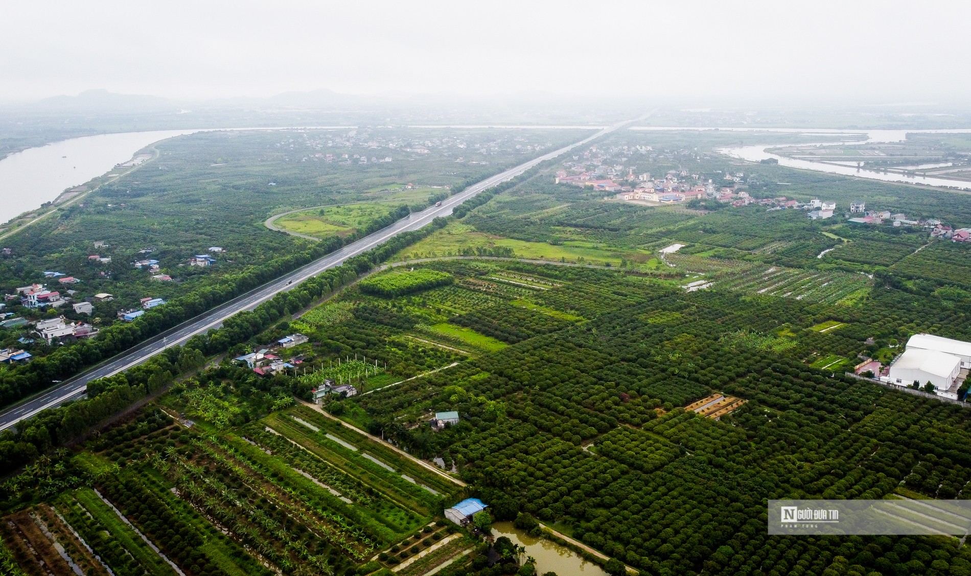 Dân sinh - Hải Dương: Vải chín sớm, nông dân Thanh Hà bội thu (Hình 13).