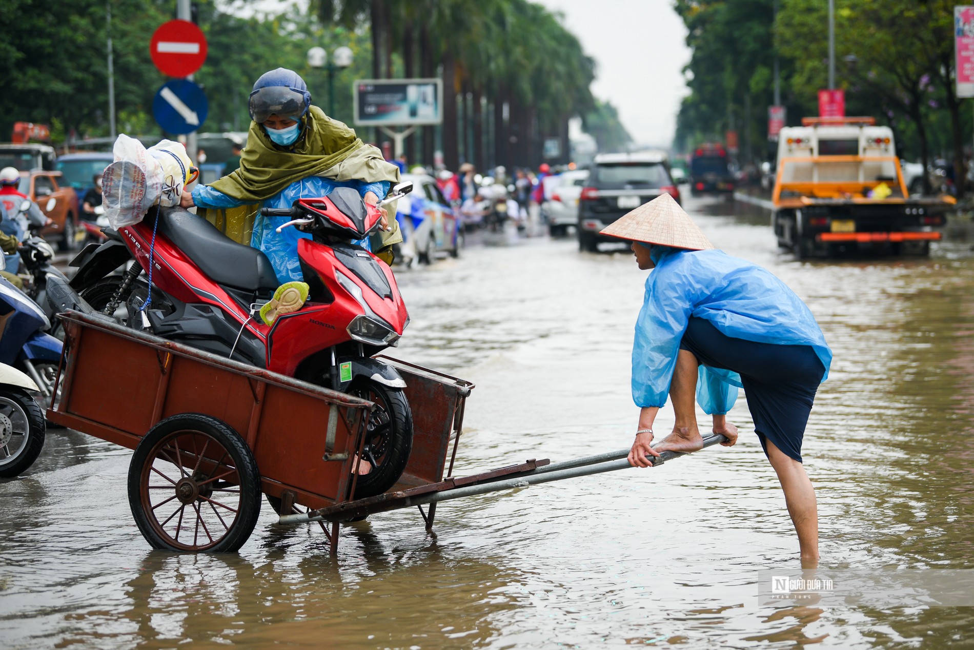 Dân sinh - Hà Nội mưa ngập sâu: Người khóc, kẻ bội thu (Hình 6).