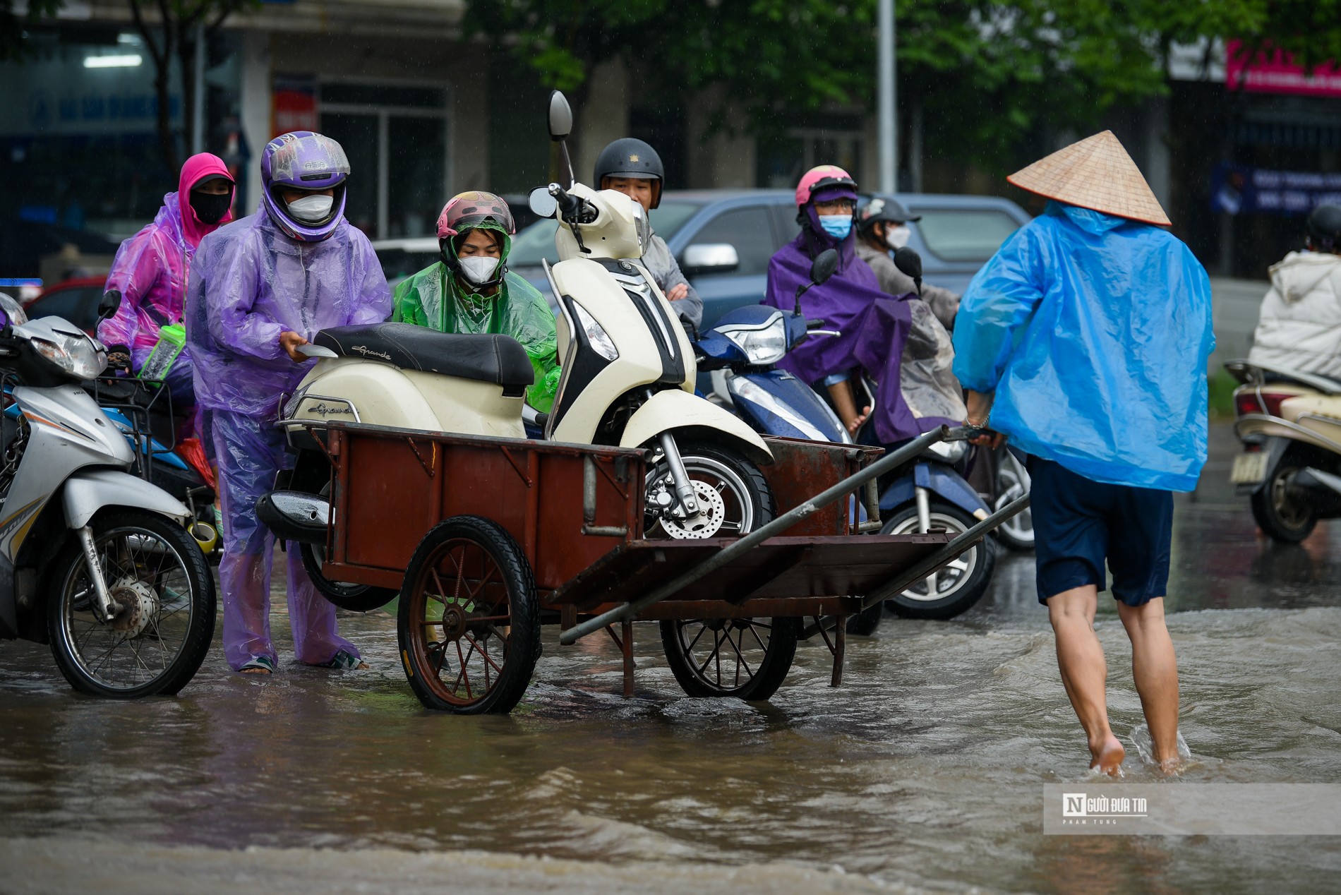 Dân sinh - Hà Nội mưa ngập sâu: Người khóc, kẻ bội thu (Hình 7).