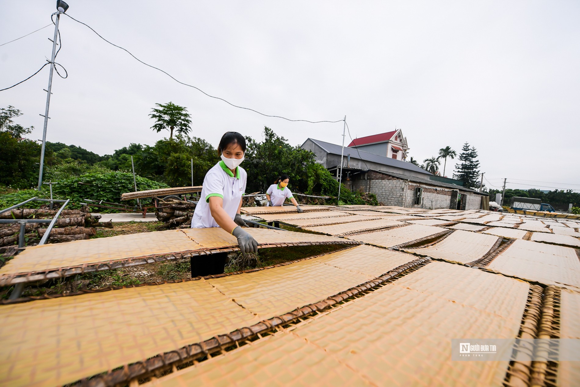 Dân sinh - Bắc Giang: Cận cảnh sản xuất mỳ chũ Lục Ngạn từ gạo bao thai (Hình 14).