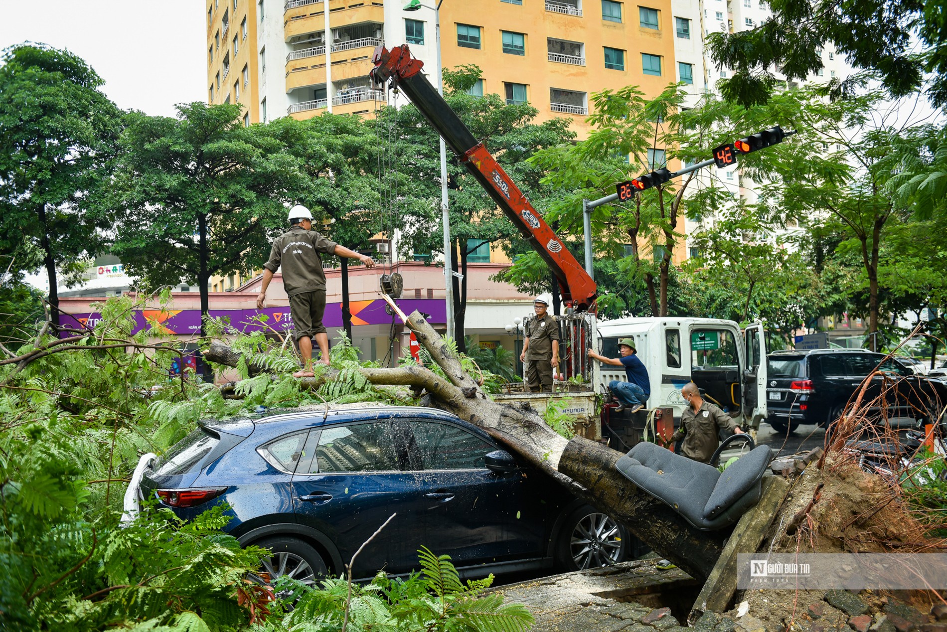 Dân sinh - Hà Nội: Cây xanh bật gốc hàng loạt, đè bẹp ô tô sau mưa lớn (Hình 2).