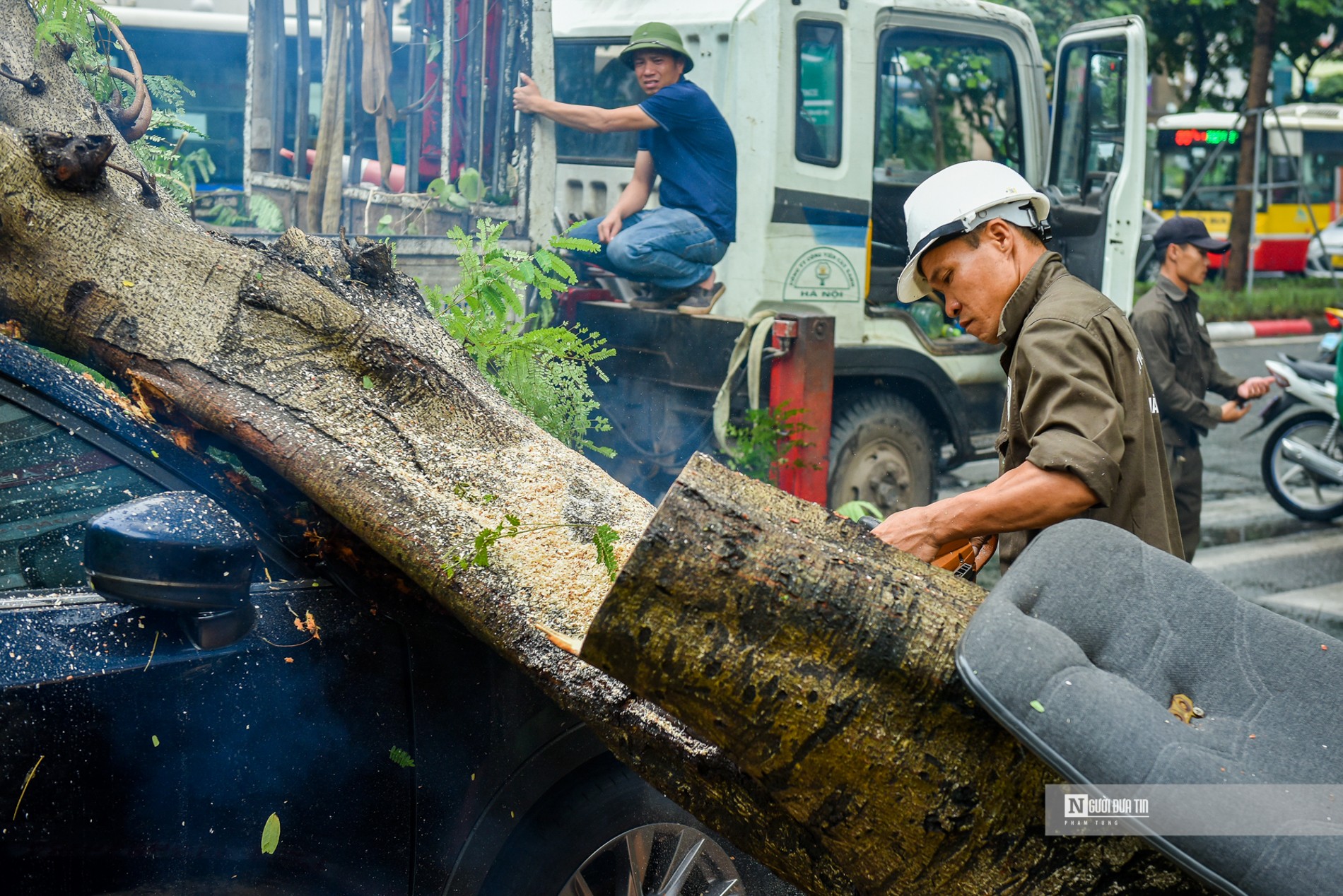 Dân sinh - Hà Nội: Cây xanh bật gốc hàng loạt, đè bẹp ô tô sau mưa lớn (Hình 3).