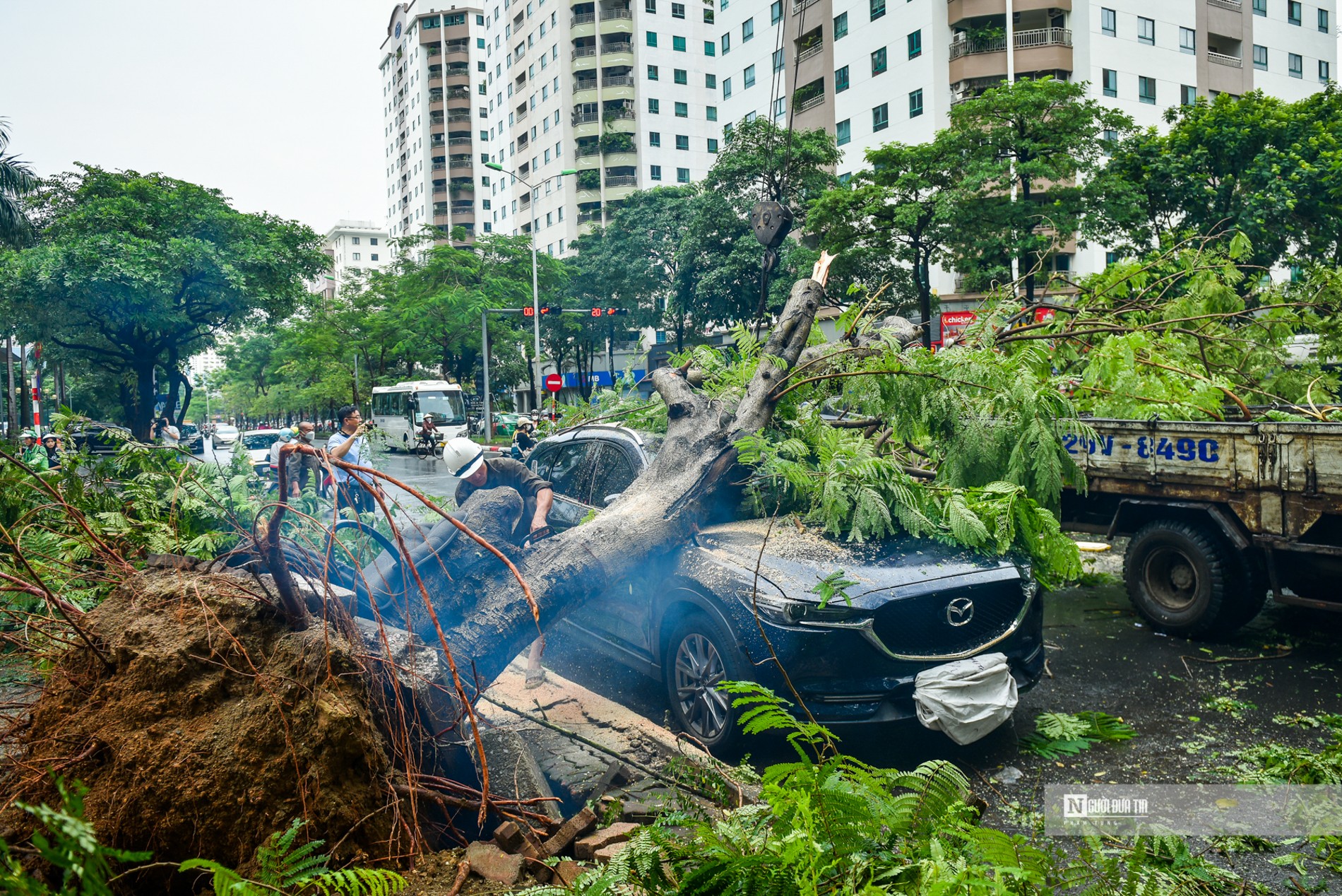 Dân sinh - Hà Nội: Cây xanh bật gốc hàng loạt, đè bẹp ô tô sau mưa lớn (Hình 4).