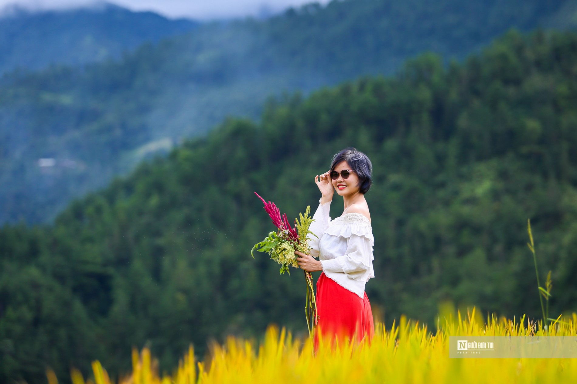 Dân sinh - Mù Cang Chải: Mê mẩn mùa lúa chín trên đồi Mâm xôi (Hình 10).