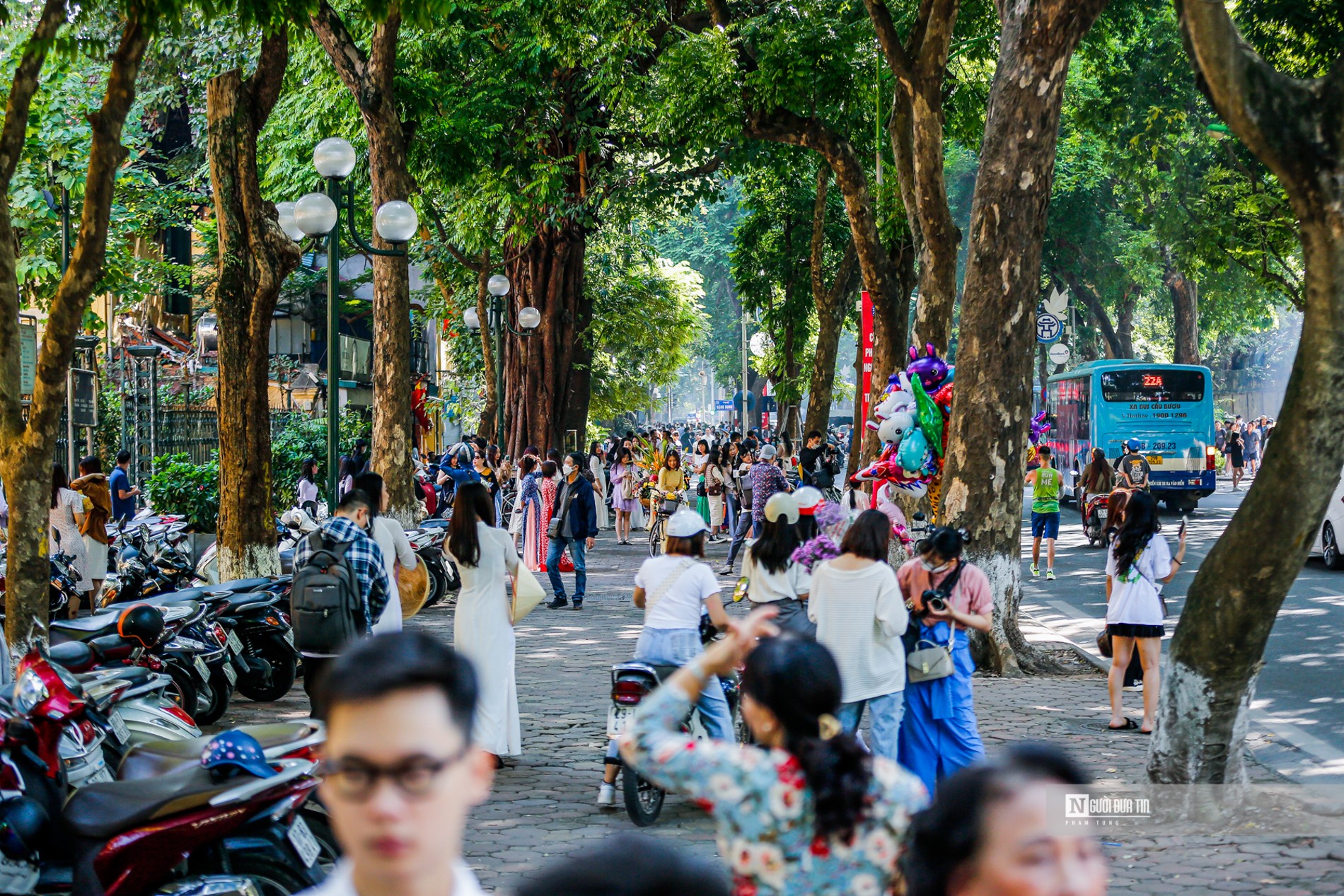 Dân sinh - Hà Nội: Người dân ùn ùn check in trên phố Phan Đình Phùng