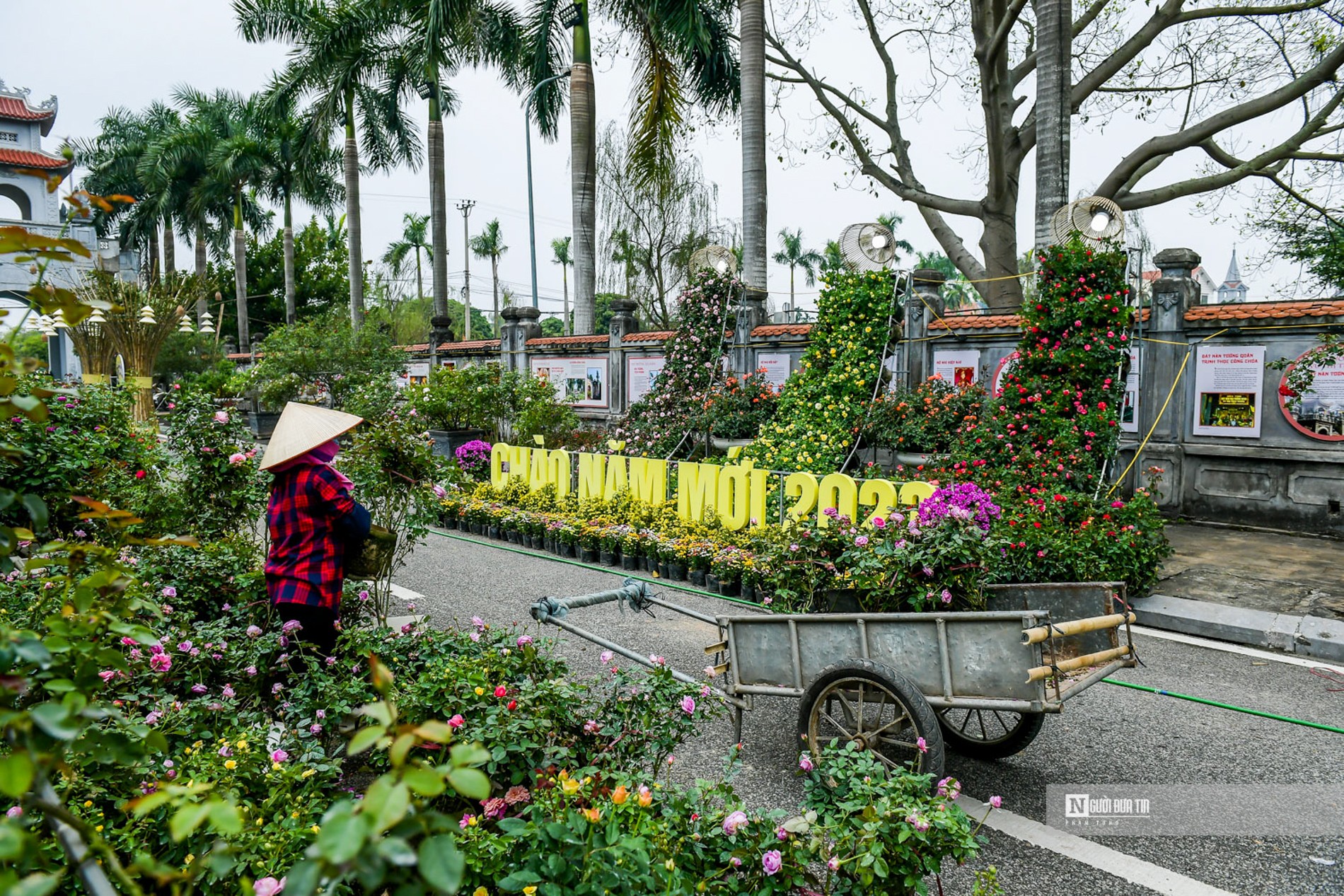 Sự kiện - Mê Linh tất bật chuẩn bị cho Festival hoa đầu tiên (Hình 9).