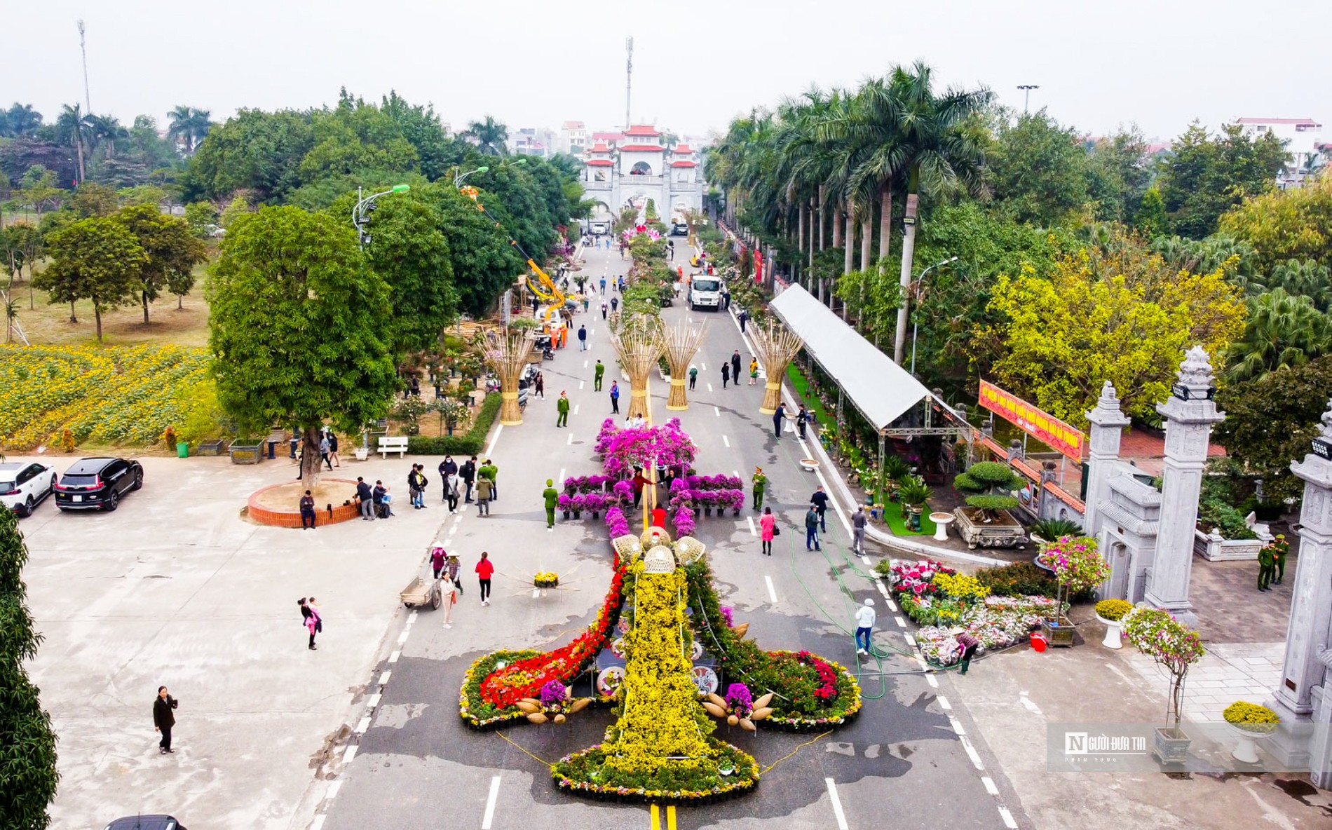 Sự kiện - Mê Linh tất bật chuẩn bị cho Festival hoa đầu tiên