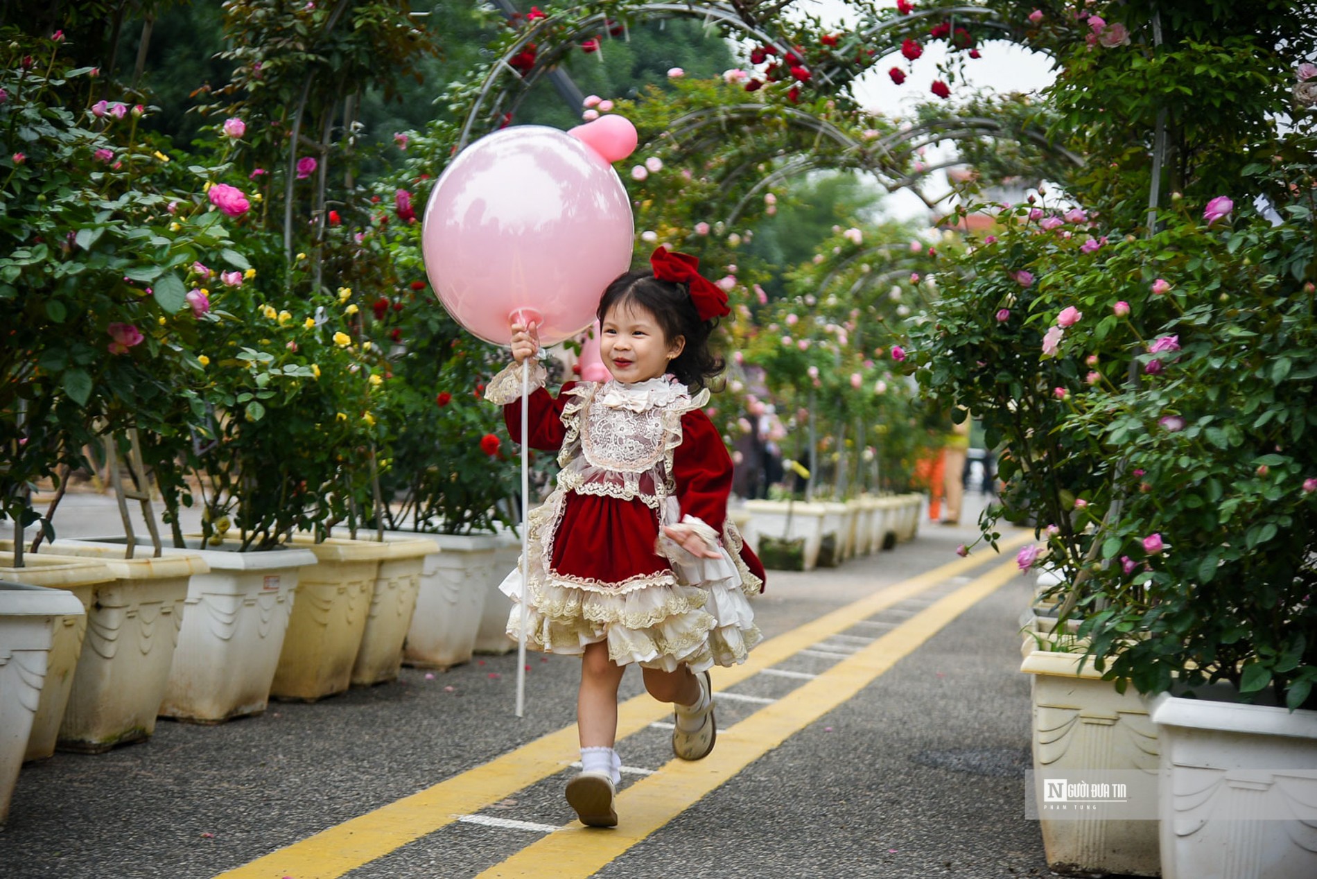 Sự kiện - Mê Linh tất bật chuẩn bị cho Festival hoa đầu tiên (Hình 3).