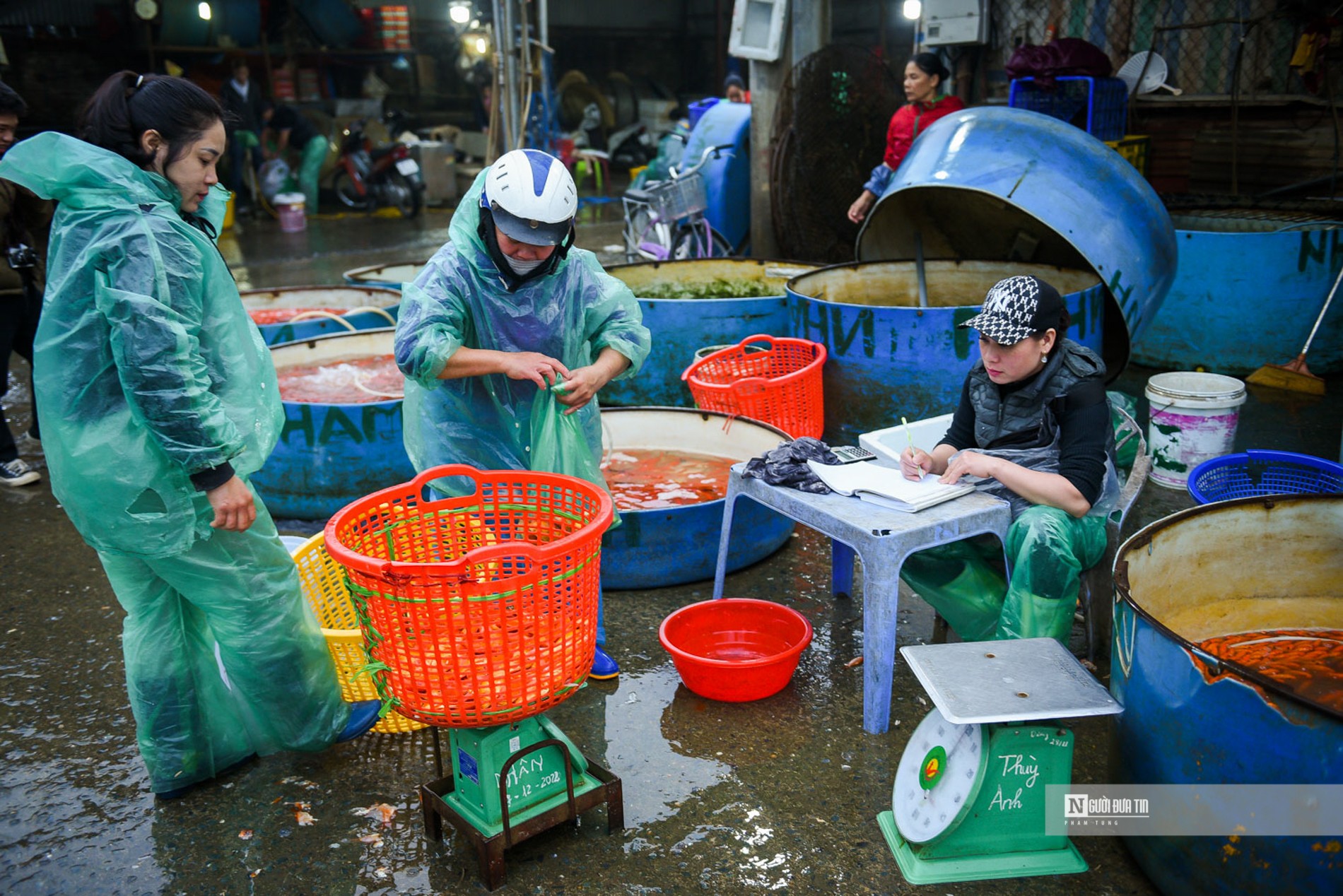 Dân sinh - Chợ cá Yên Sở nhộn nhịp dịp ông Công ông Táo (Hình 11).