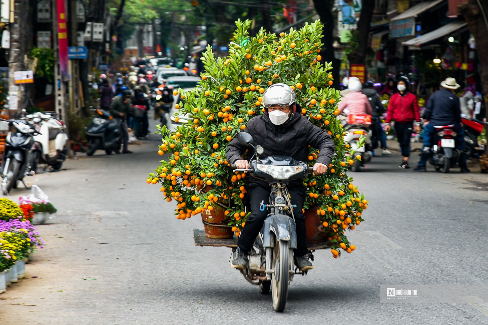 Kết nối - Chợ hoa phố Hoàng Hoa Thám nhộn ngày cuối năm (Hình 9).