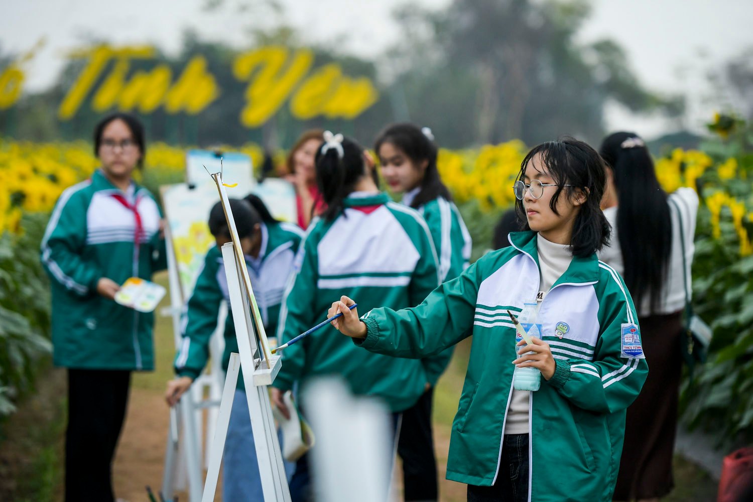 Dân sinh - Rủ nhau 'sống ảo' với vườn hoa hướng dương giữa trung tâm Tp.Hải Dương (Hình 7).