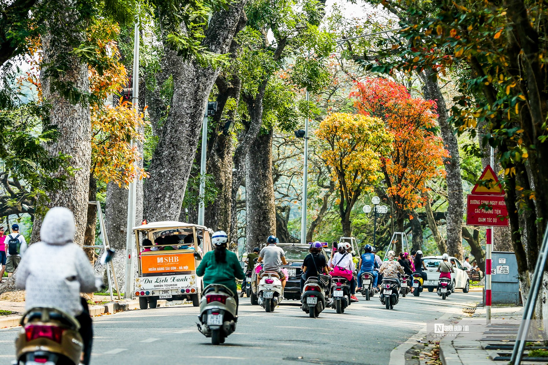 Dân sinh - Hà Nội mùa cây thay lá (Hình 5).