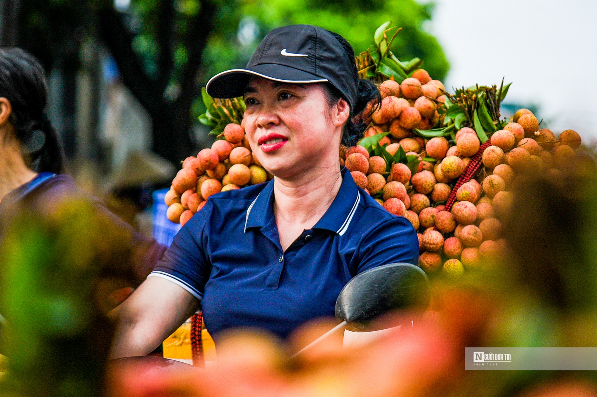 Dân sinh - Hải Dương: Nông dân tất bật thu hoạch vải Thanh Hà sớm (Hình 7).