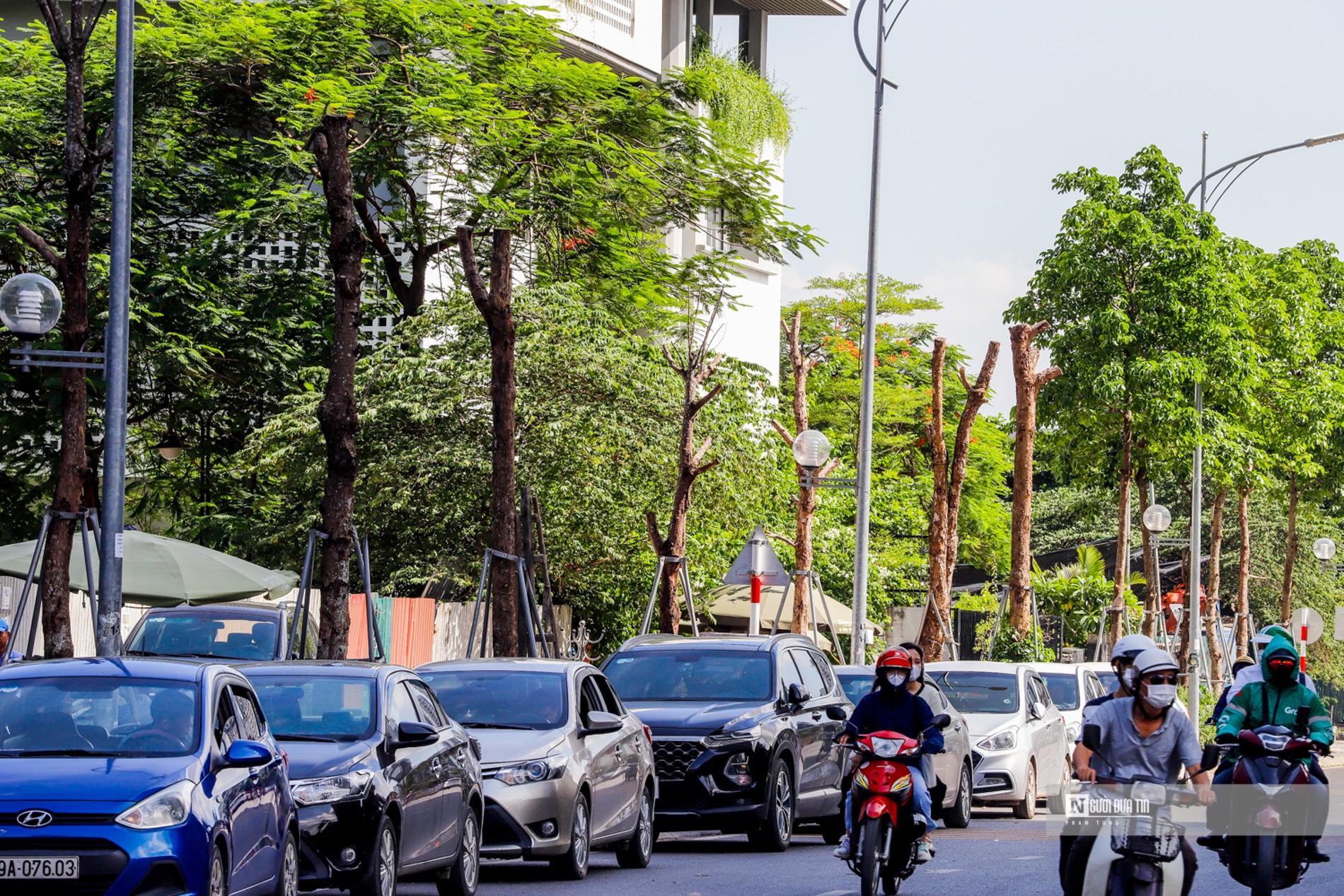 Dân sinh - Hà Nội: Loạt cây xanh chết khô trên đường Huỳnh Thúc Kháng kéo dài (Hình 9).