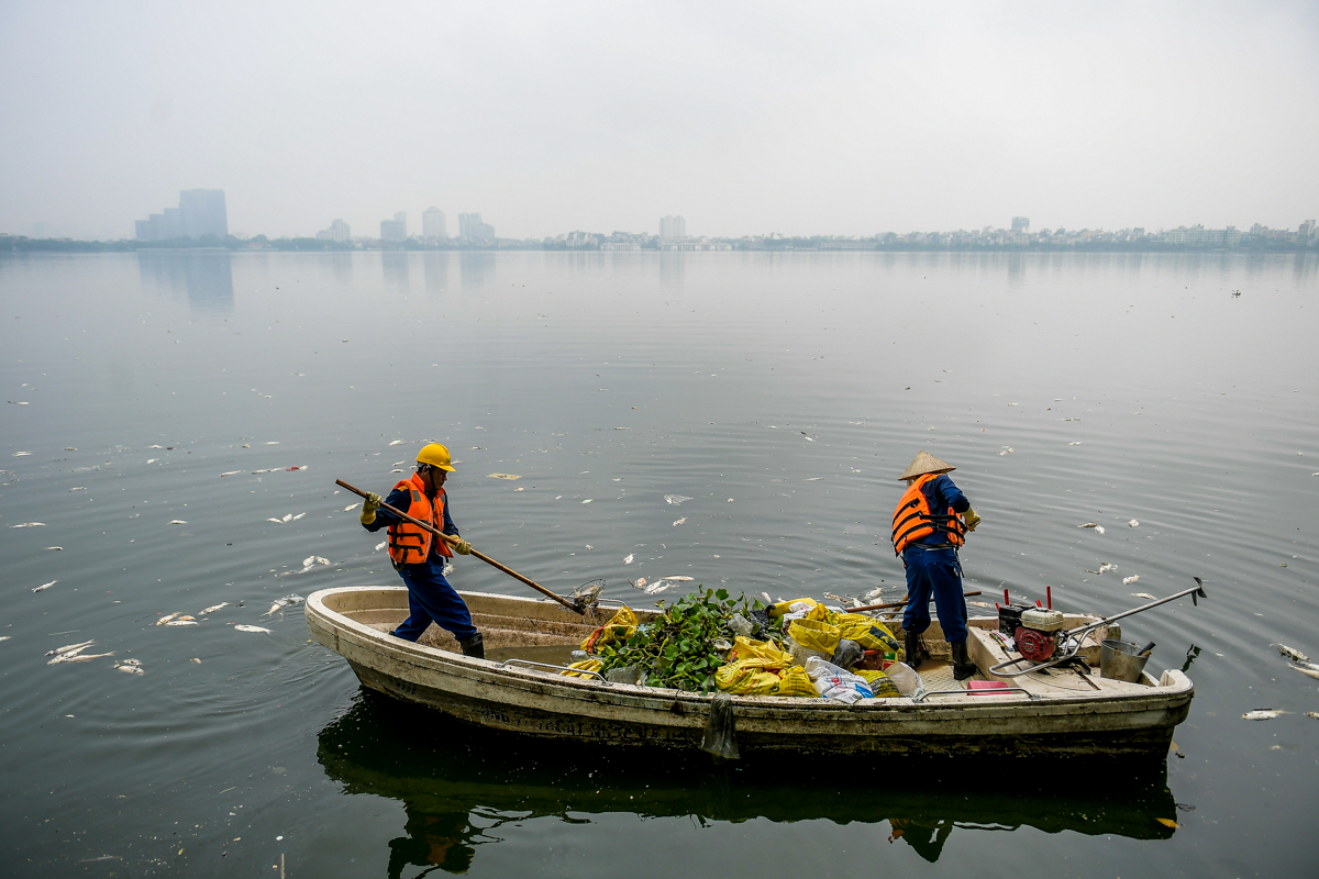 Dân sinh - Hà Nội: Cá chết hàng loạt, bốc mùi hôi thối nồng nặc trên Hồ Tây (Hình 6).