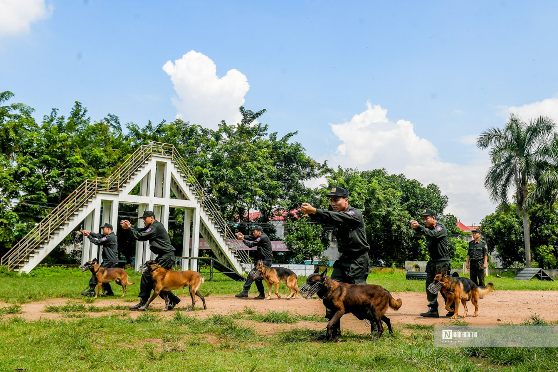 An ninh - Hình sự - Mãn nhãn xem cảnh khuyển vượt rào lửa, tìm ma túy (Hình 3).