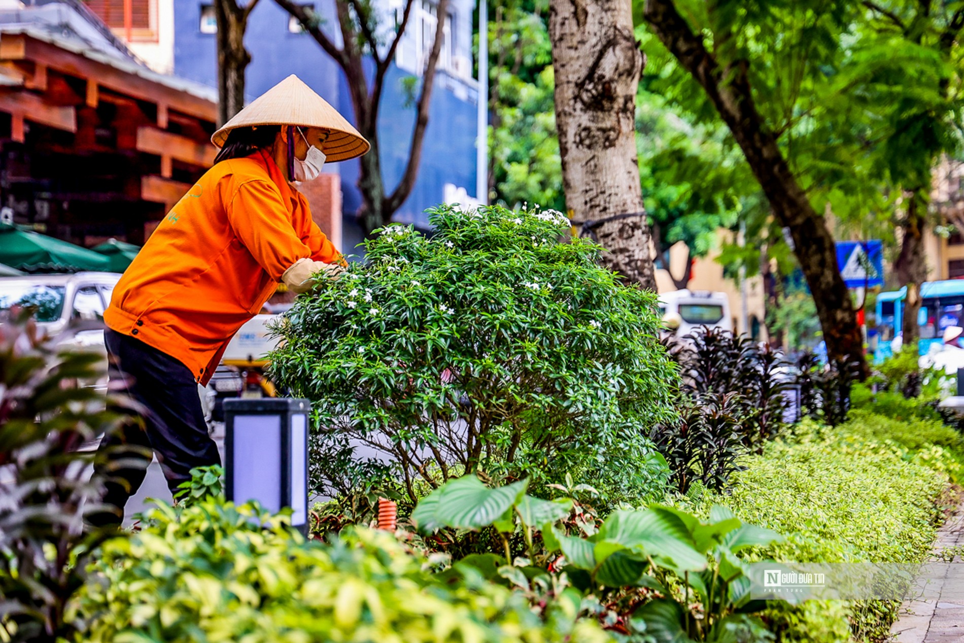 Dân sinh - Cận cảnh vườn hoa Tao Đàn được cải tạo với kinh phí hơn 3 tỷ đồng (Hình 6).