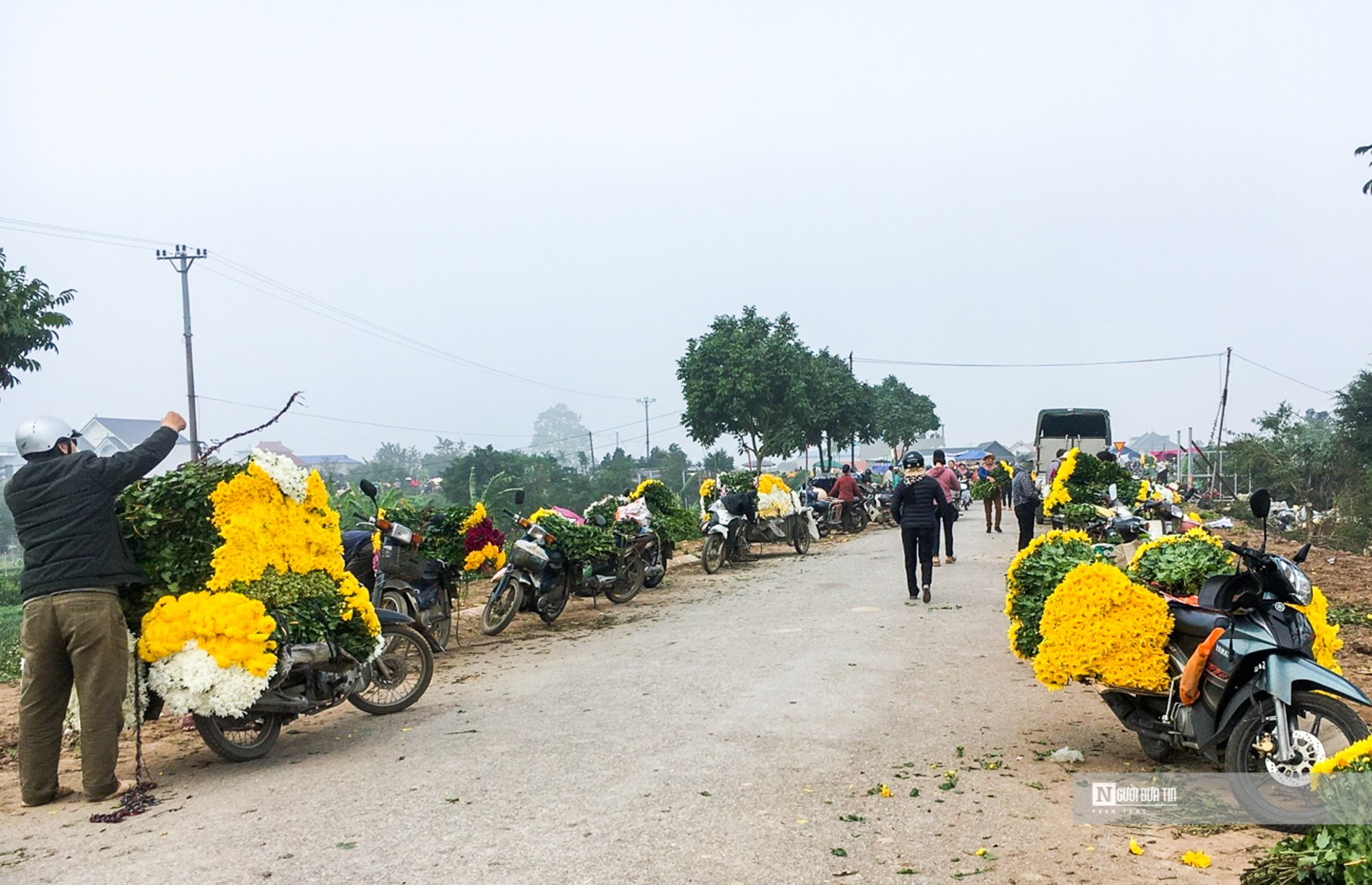 Dân sinh - Làng hoa lớn nhất Nam Định tất bật vào vụ Tết